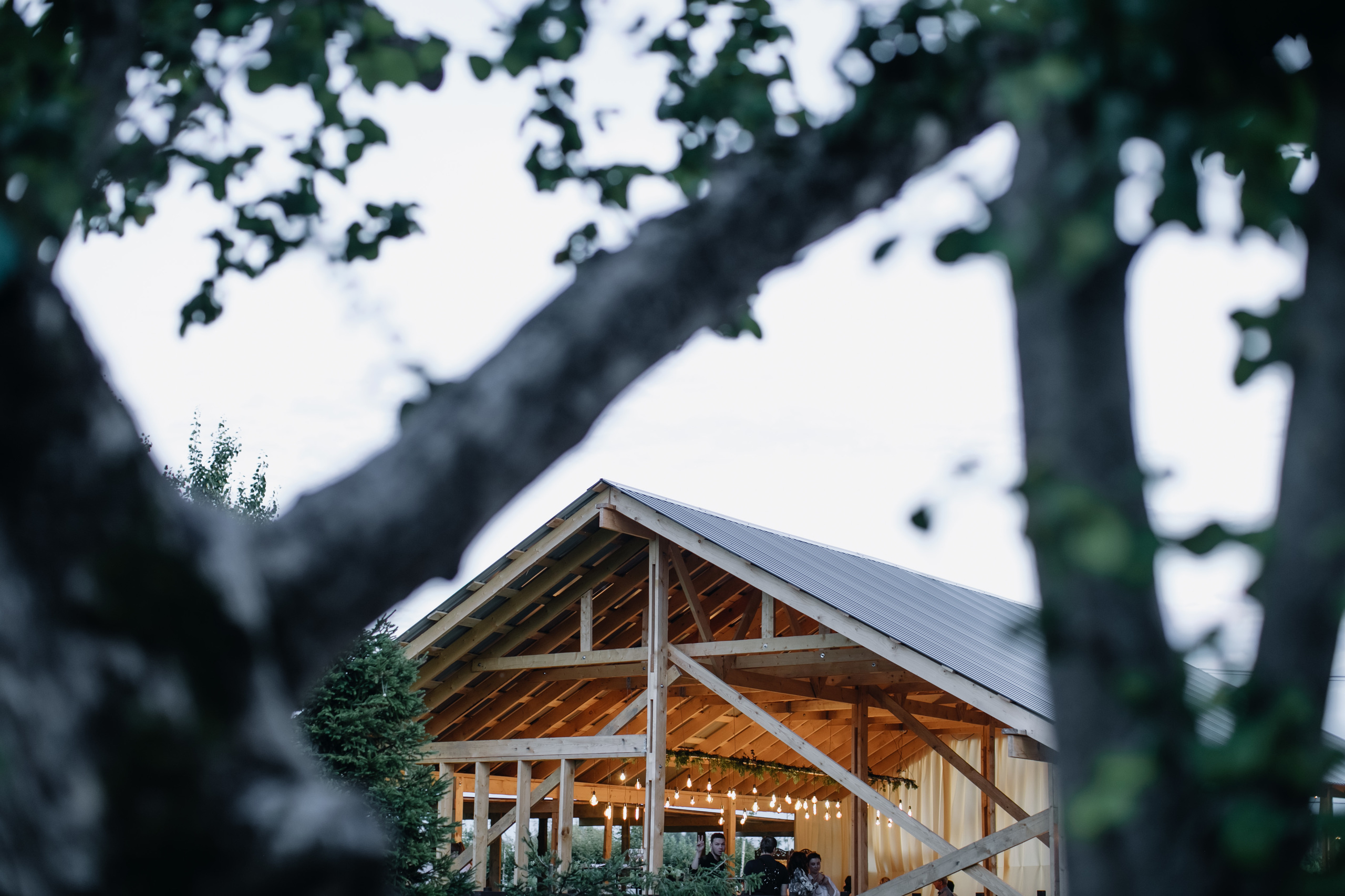 Andrei & Alena 2019 Moscow. Wedding and family photographer in Moscow