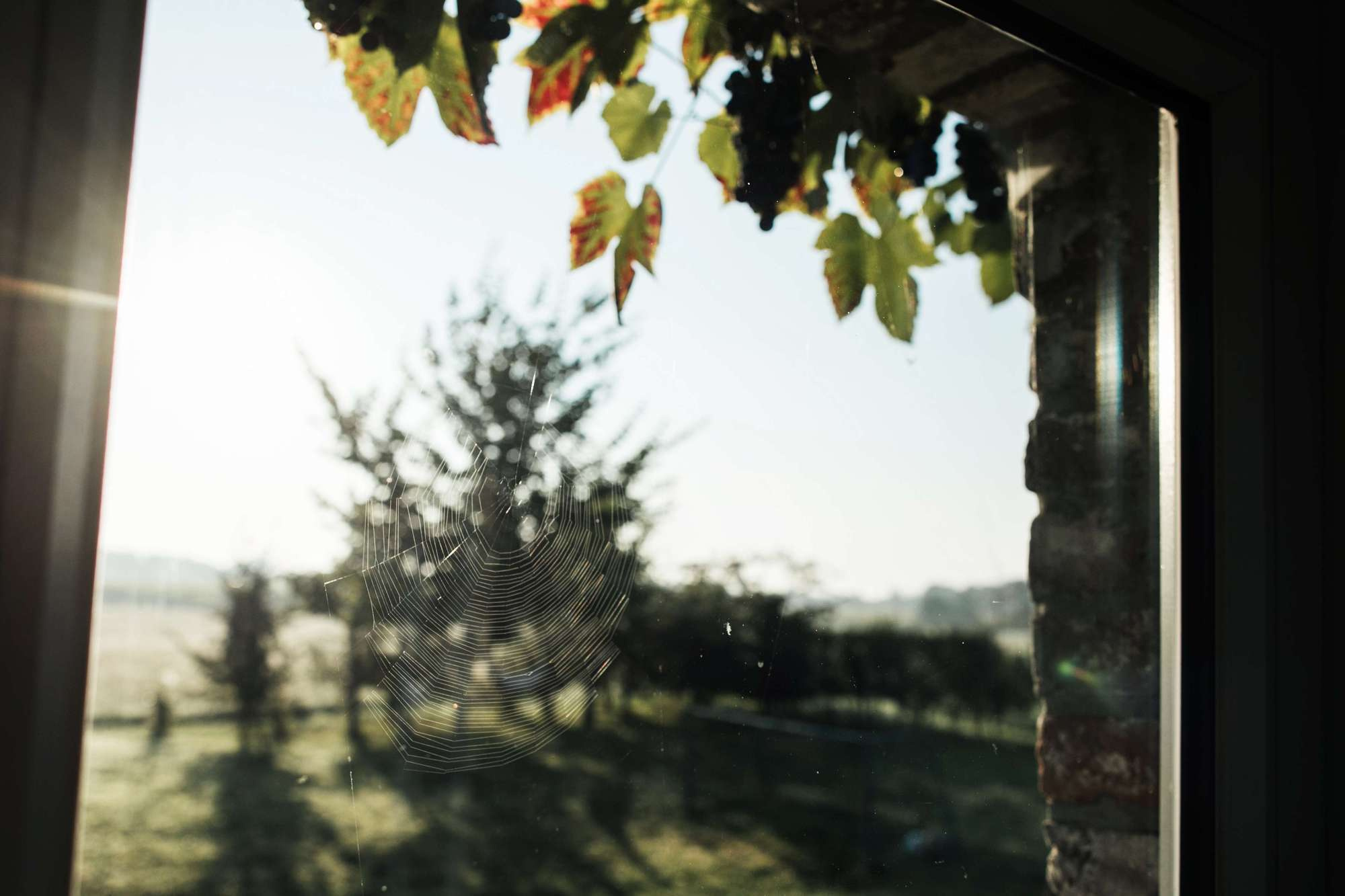 Pier & Mari 2018 France/Belgium. Wedding and family photographer in Moscow