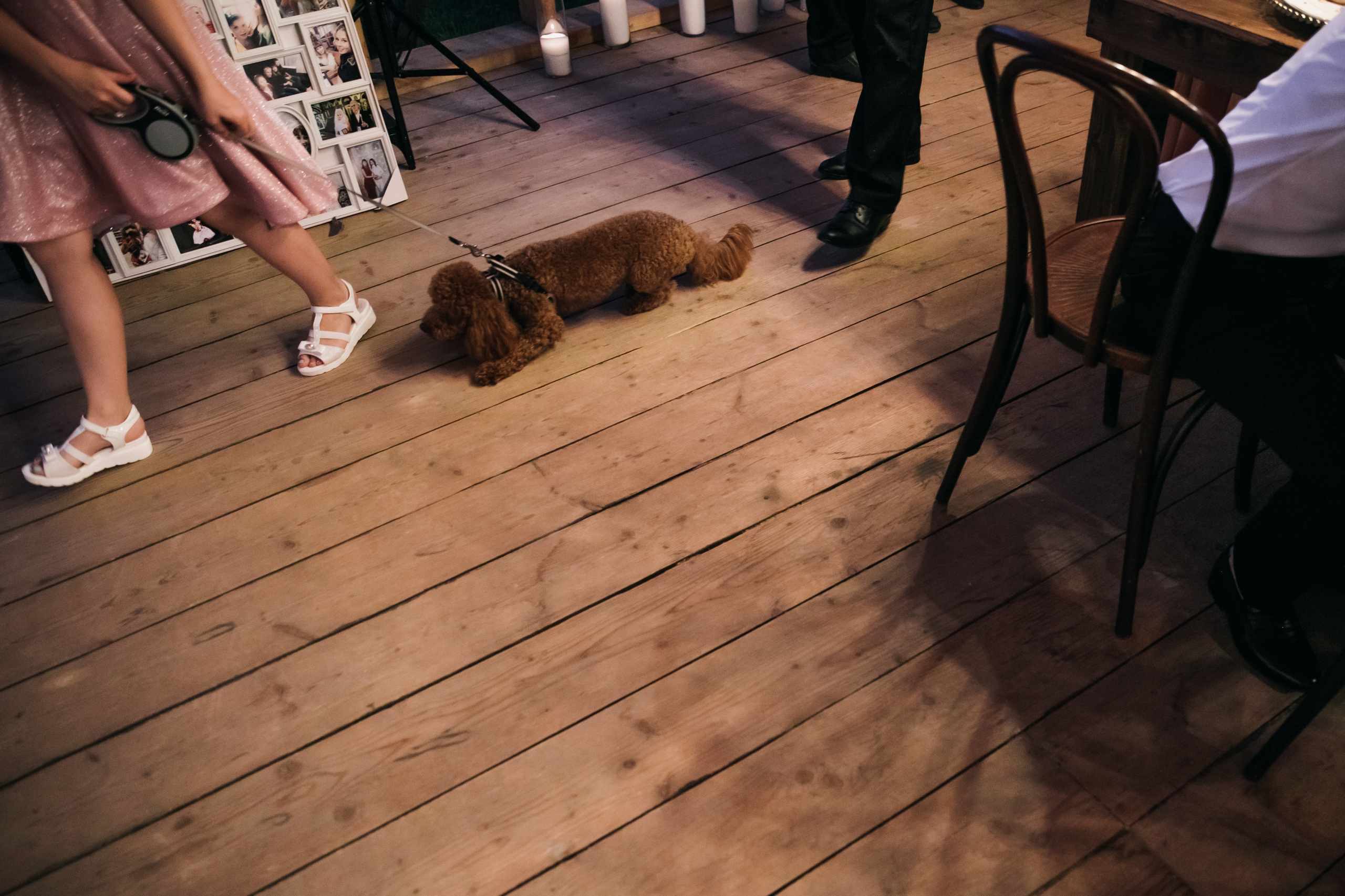 Andrei & Alena 2019 Moscow. Wedding and family photographer in Moscow