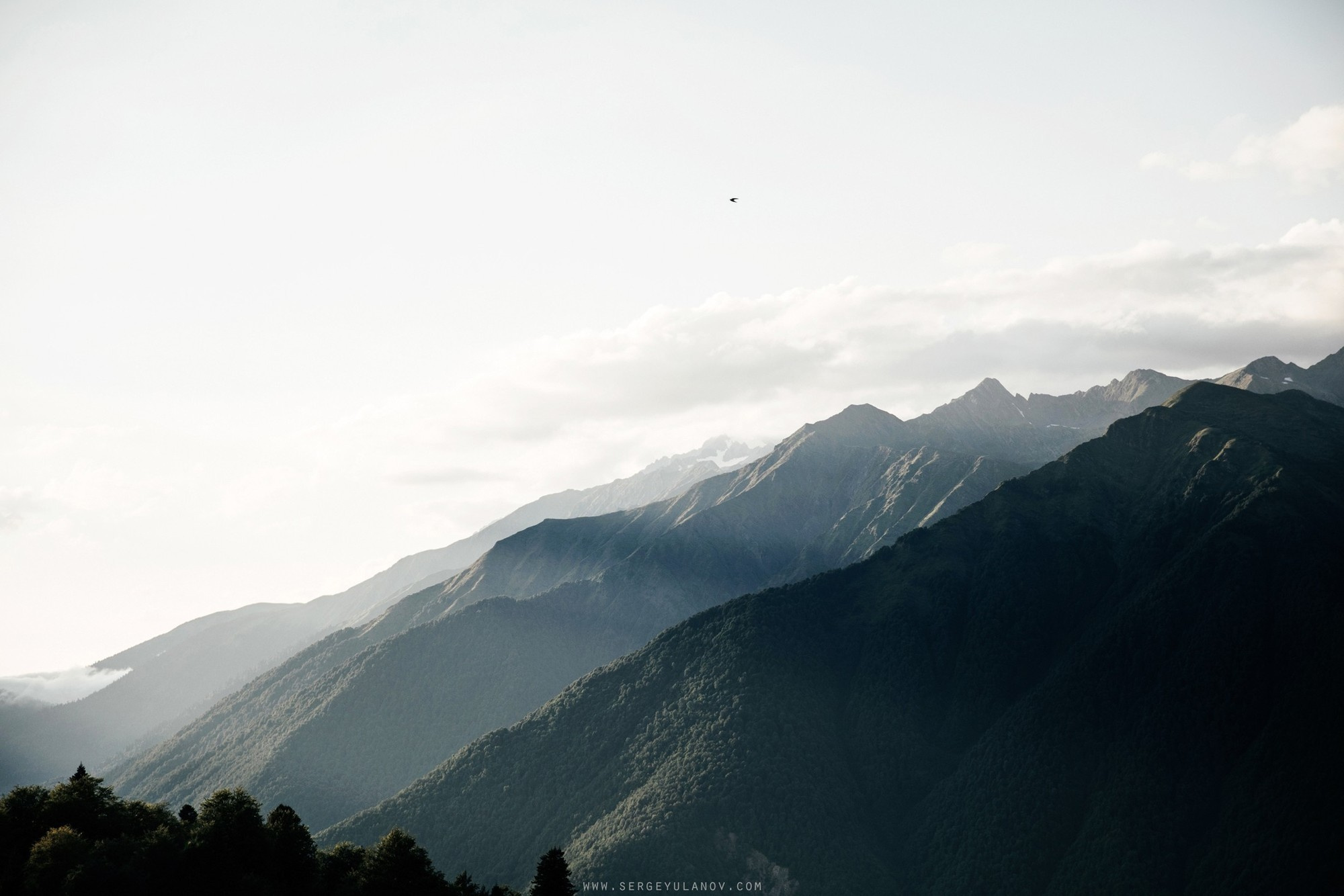 Dima & Dasha 2017 Sochi. Свадебный и семейный фотограф в Москве