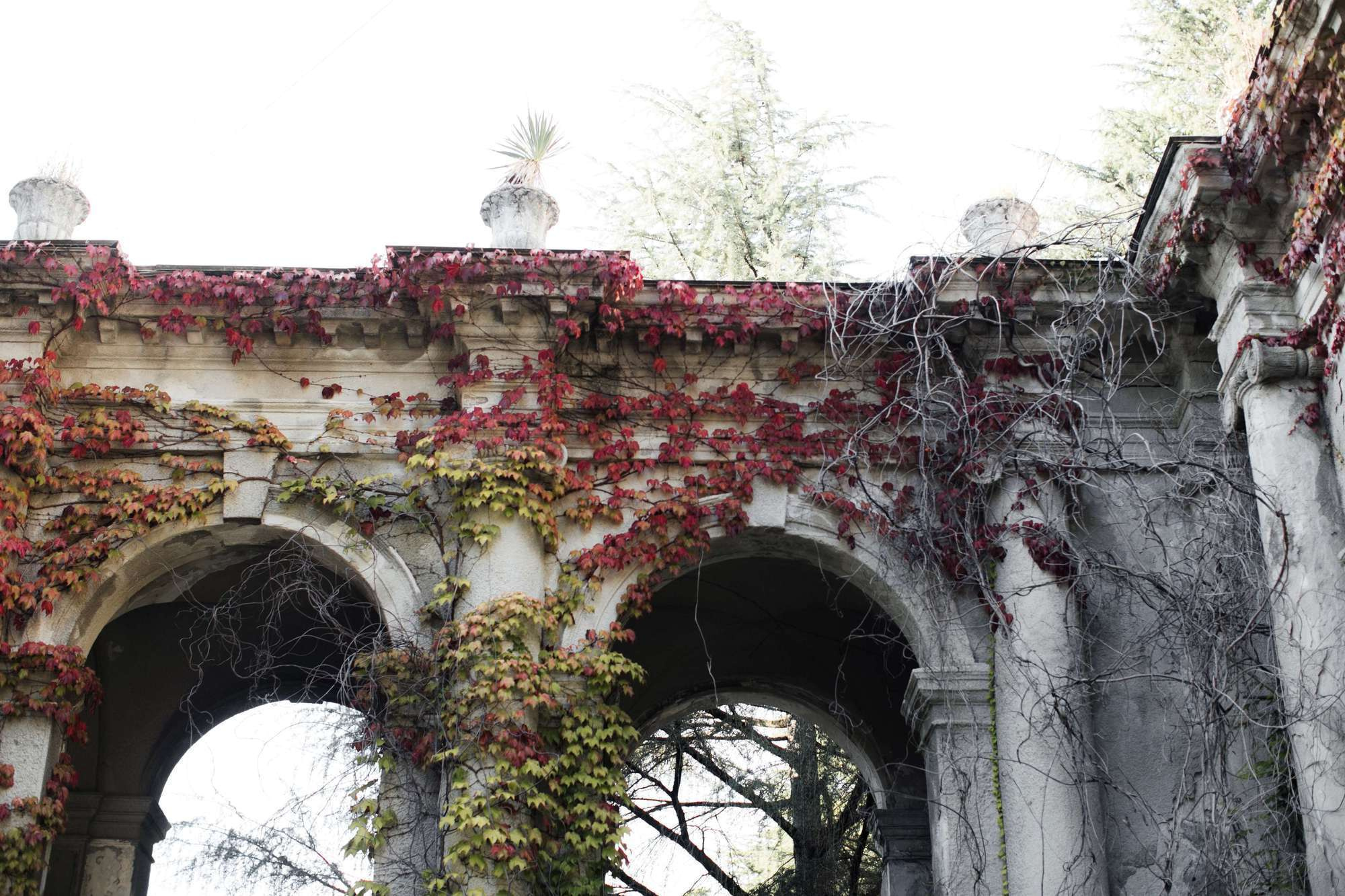 Ruvim & Nastya 2018 Sochi. Свадебный и семейный фотограф в Москве