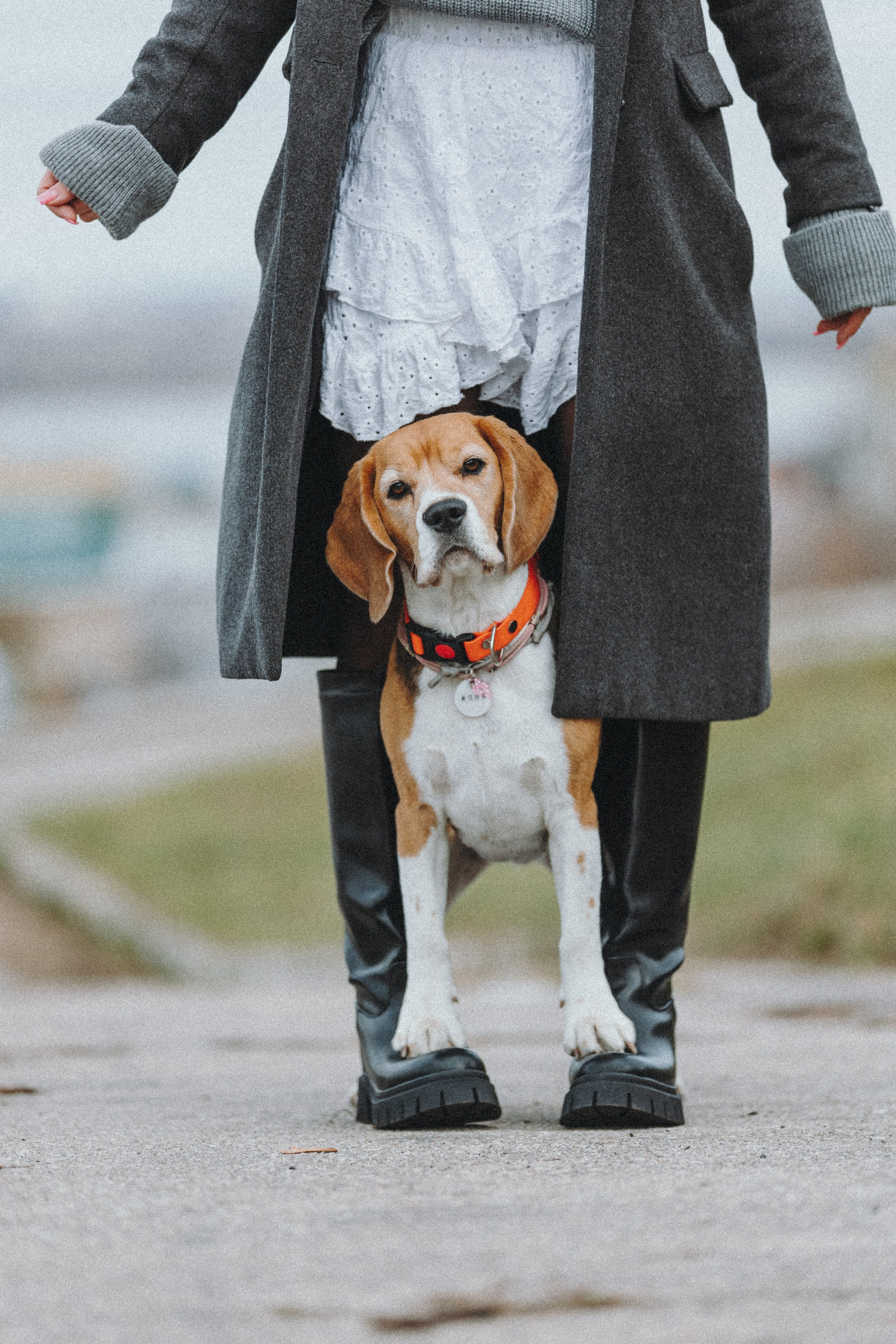 Аня и Моня. Фотограф — анималист Светлана Кысса|фотограф собак в Краснодаре и Нижнем Новгороде