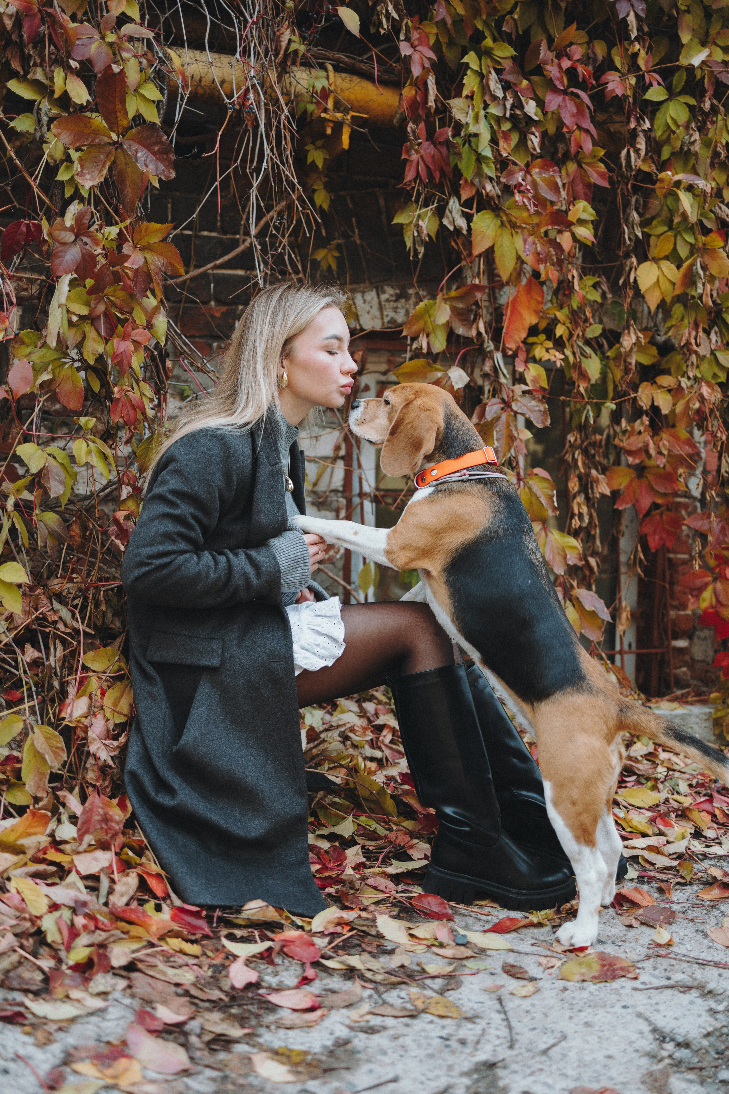 Аня и Моня. Фотограф — анималист Светлана Кысса|фотограф собак в Краснодаре и Нижнем Новгороде