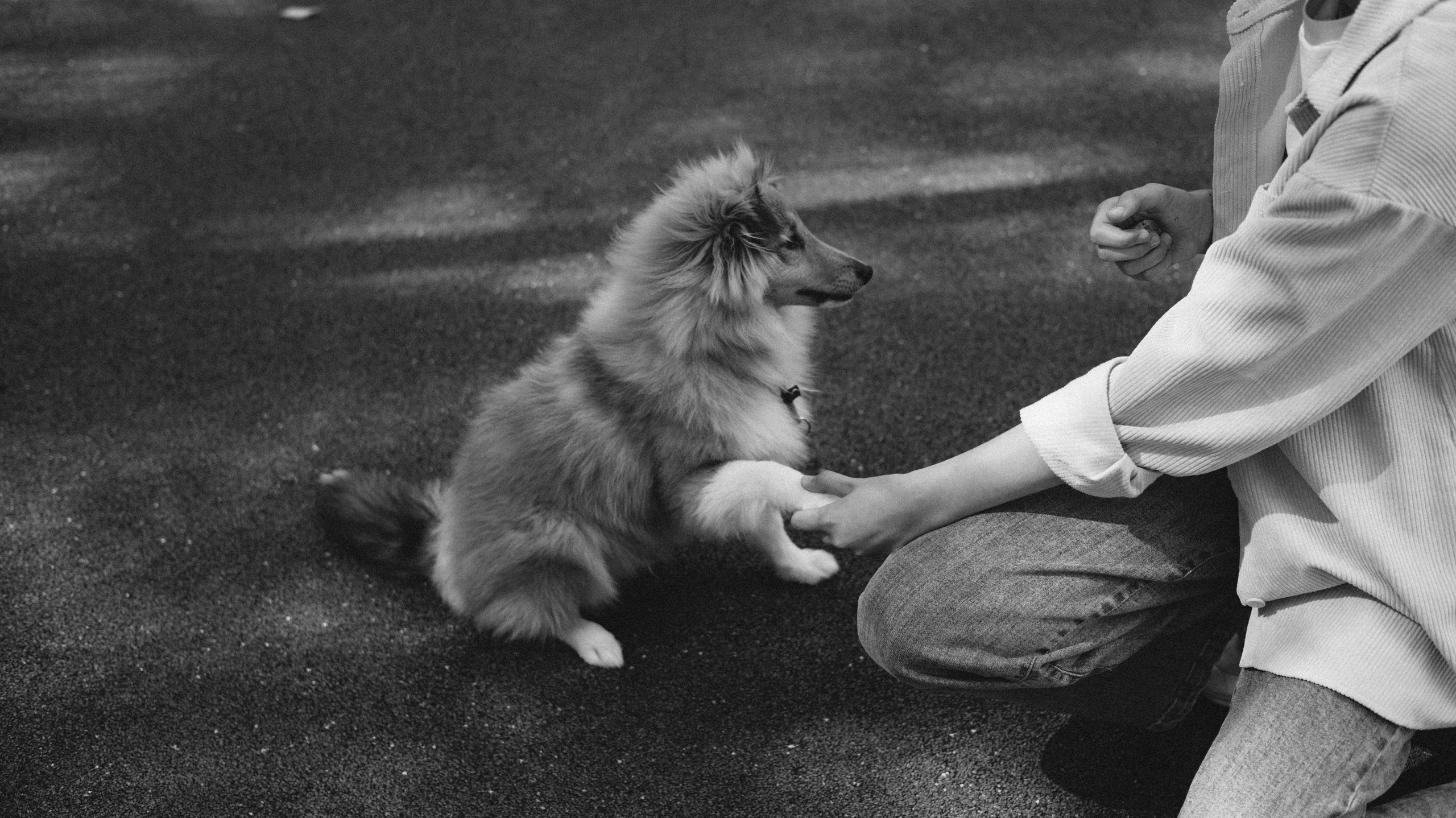 Найк. Художник и Фотограф Тимохина Юлия