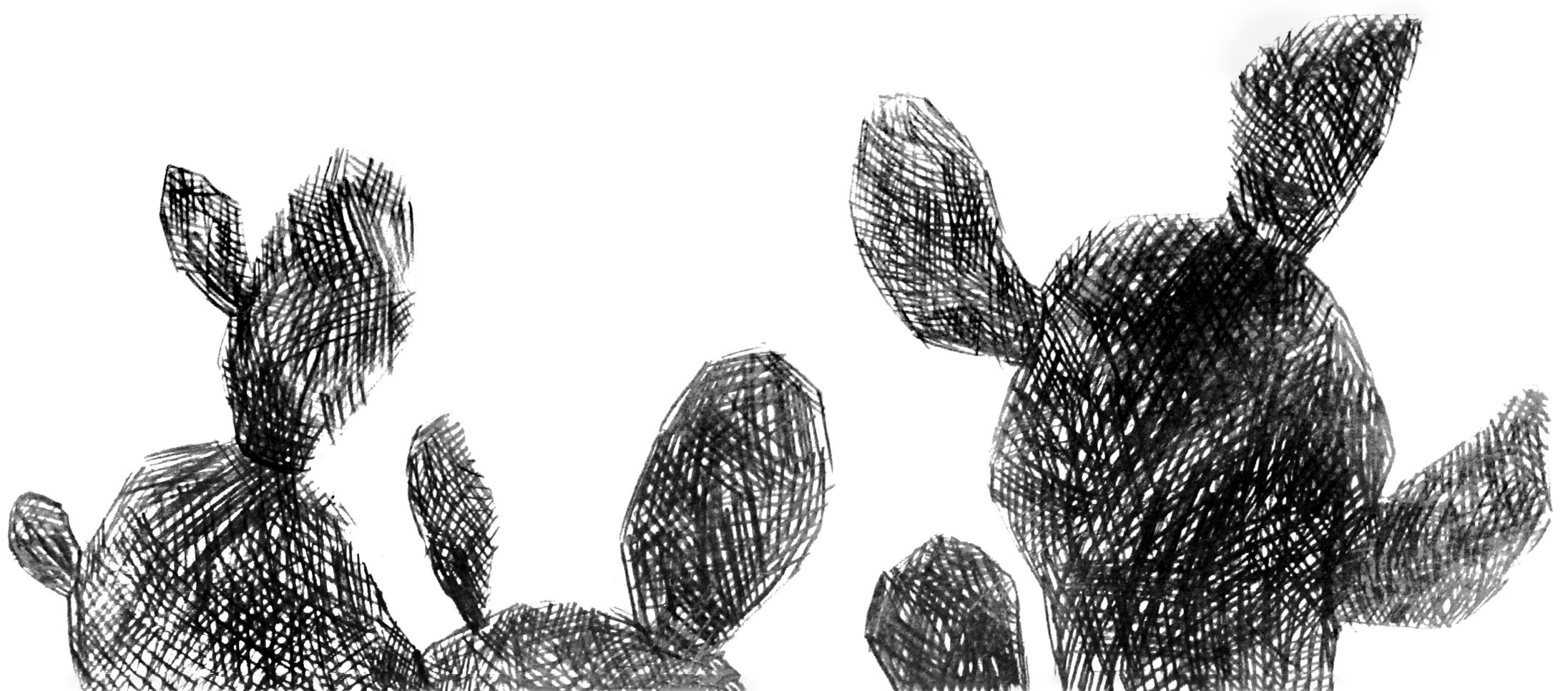 Растительные иллюстрации