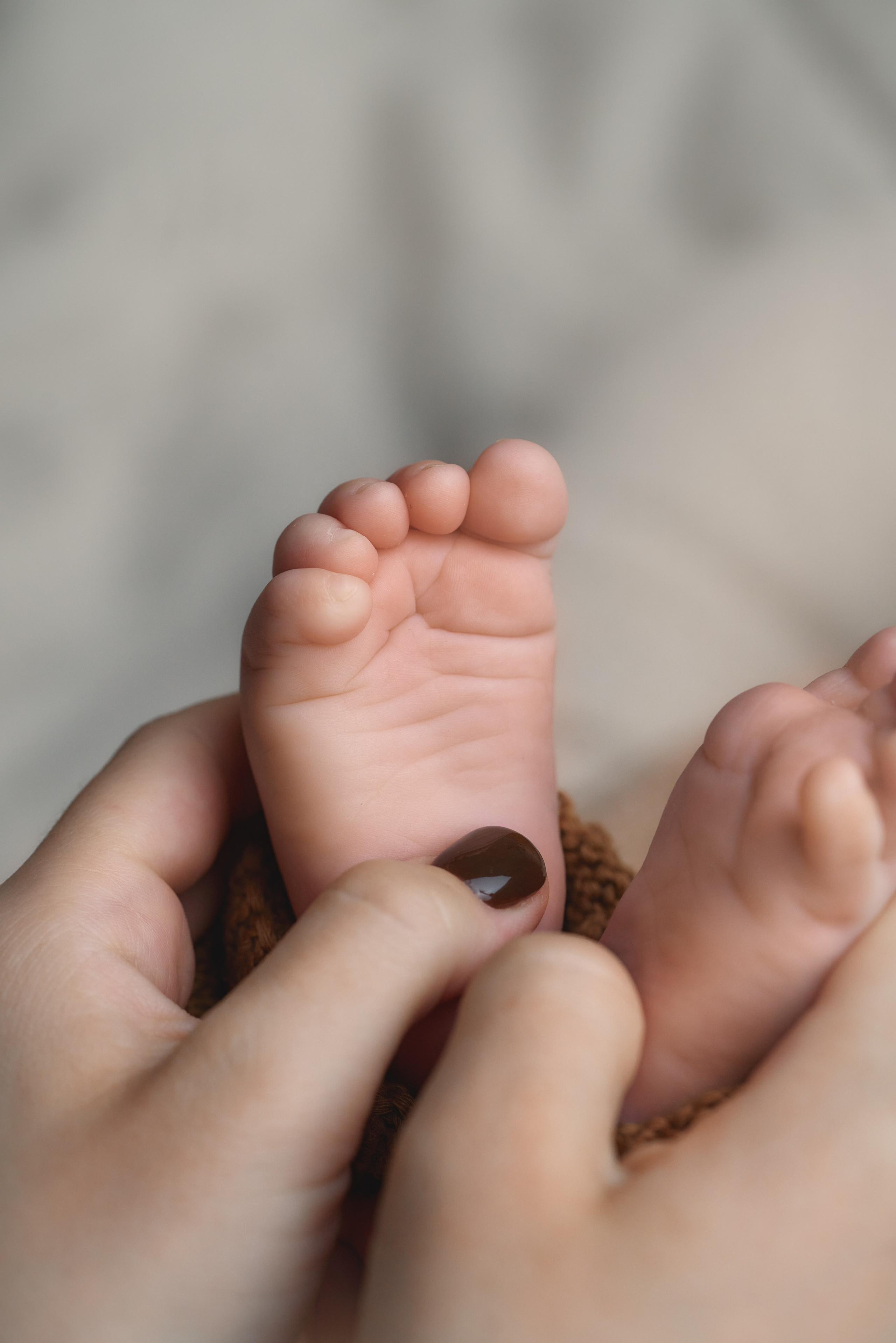 Владимир. Фотограф новорожденных во Владивостоке Ромашко Виктория