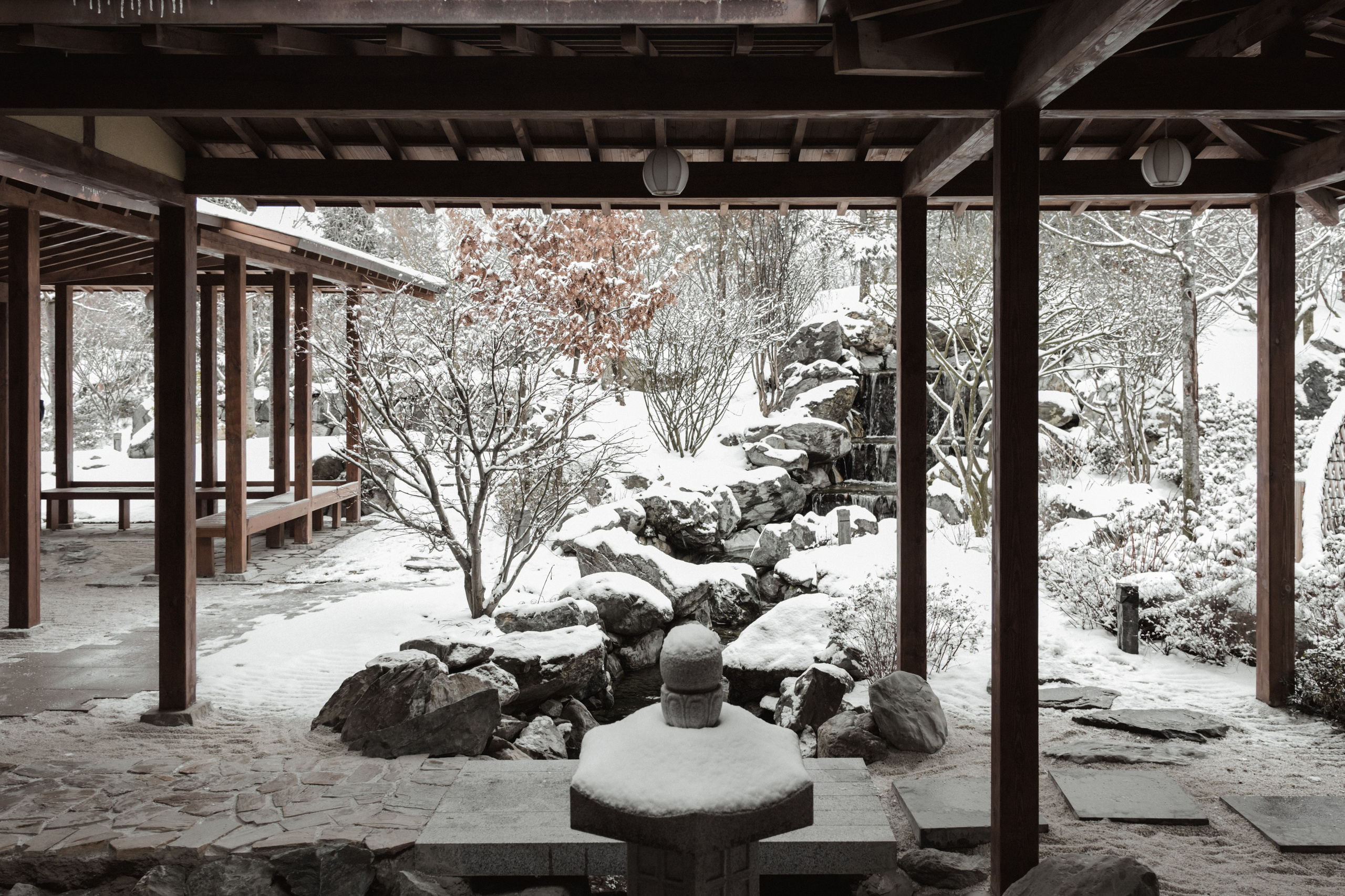 Japanese Garden in Krasnodar. Ekaterina Symidi. Interior Photographer