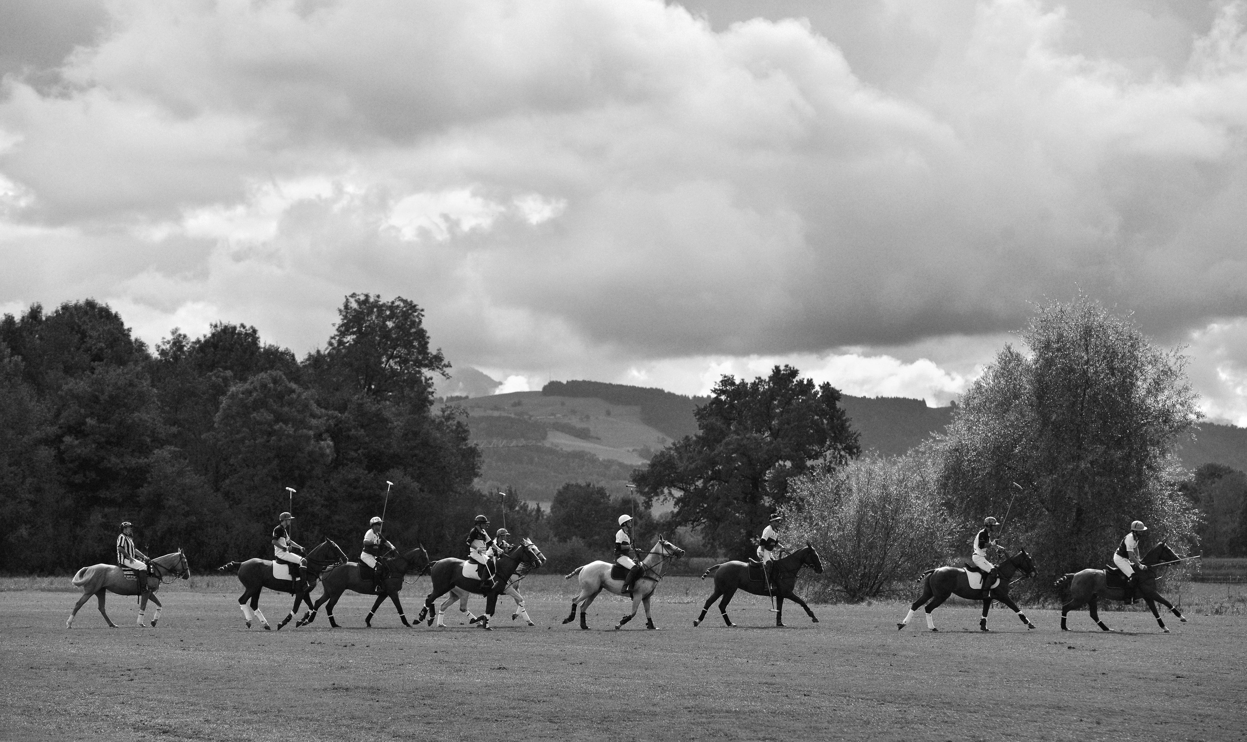 Polo art photos. Art photos of horses — ARTUR BABOEV | Photographer