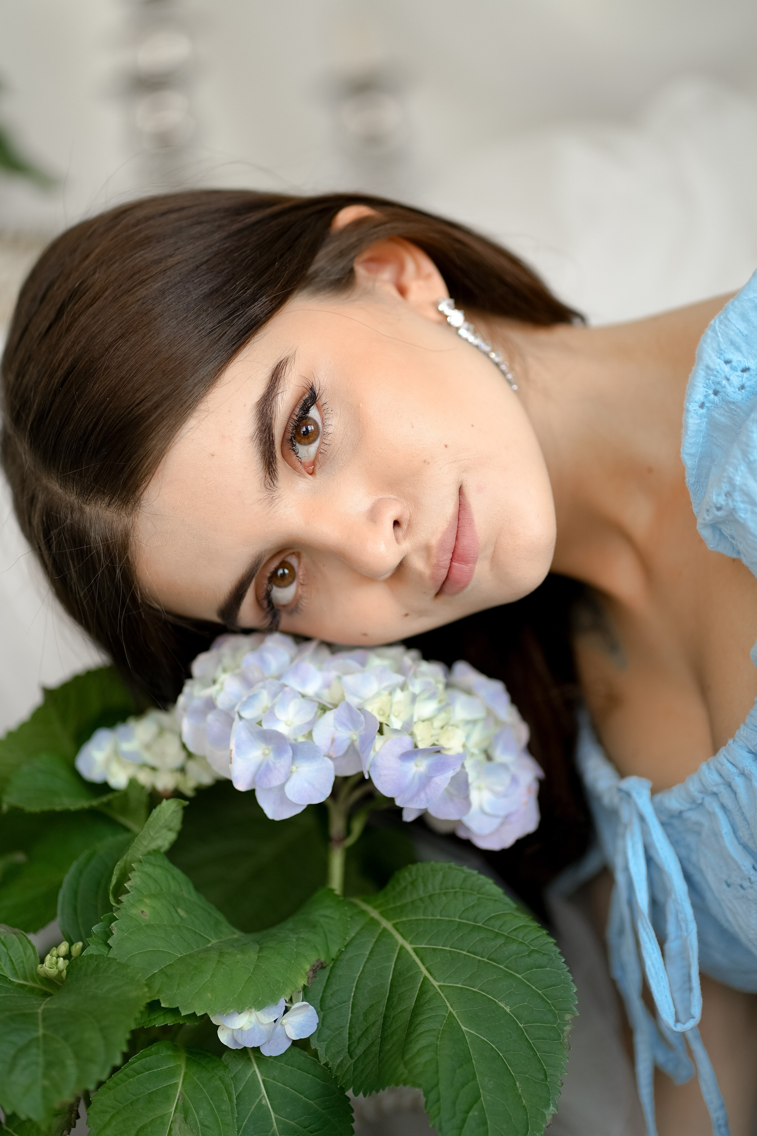 В ароматах гортензий. Фотограф Татьяна Митрофанова