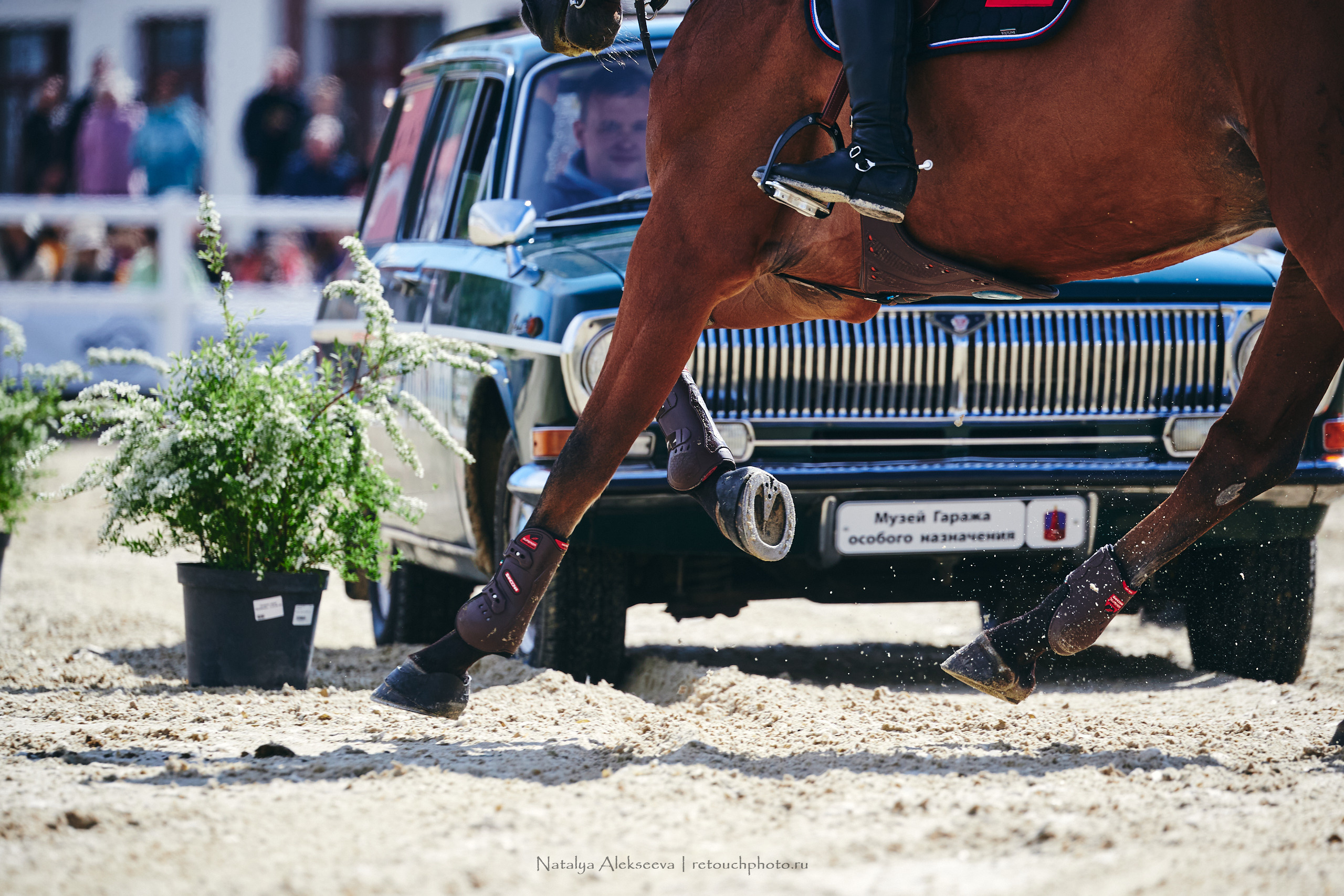 Кубок Bitriver по конкуру, ВДНХ | 05'2022. Репортажный фотограф и ретушер в Москве Наталья Алексеева