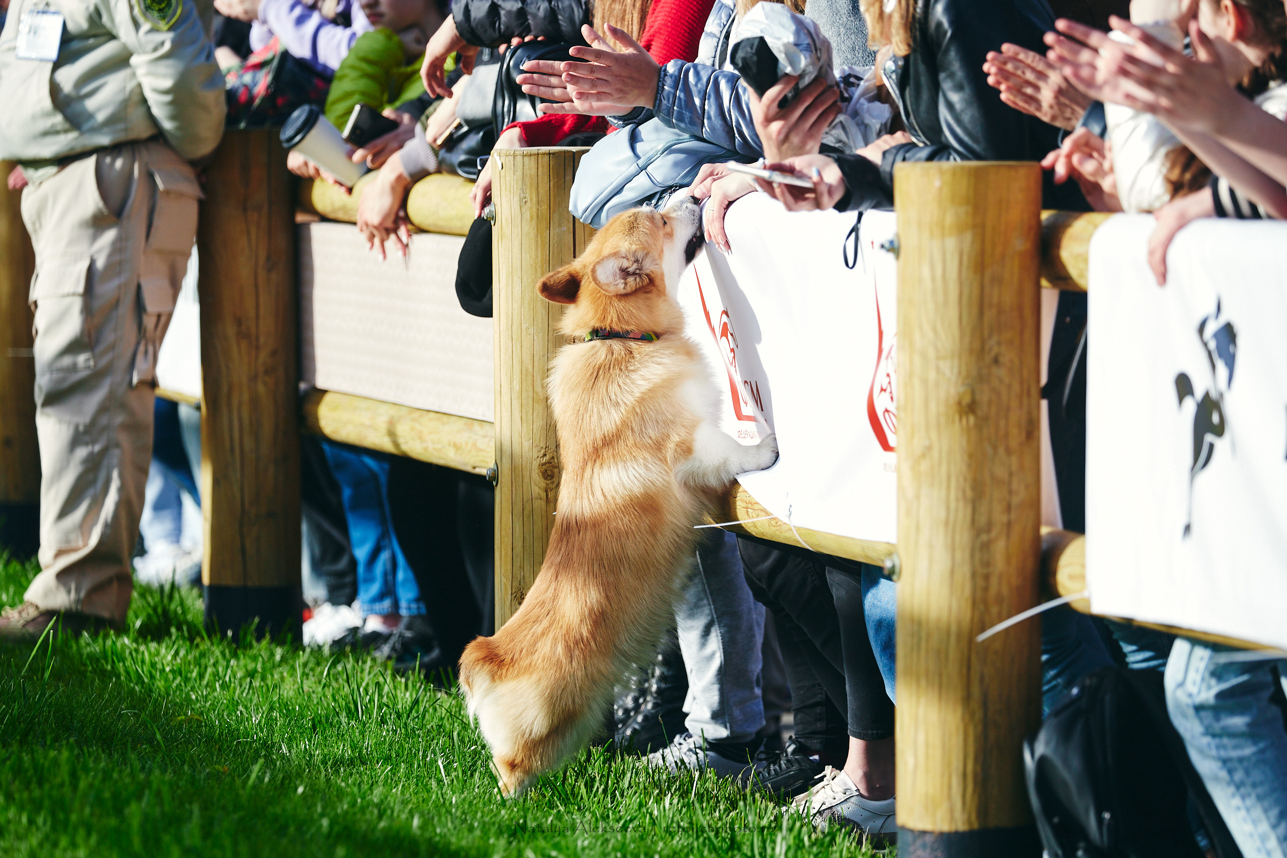 Кубок Bitriver по конкуру, ВДНХ | 05'2022. Репортажный фотограф и ретушер в Москве Наталья Алексеева