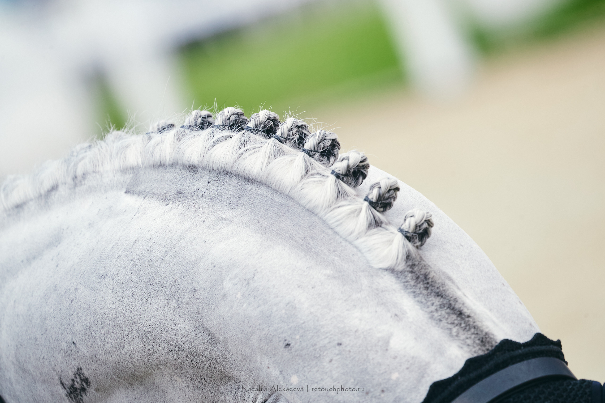 Кубок Bitriver по конкуру, ВДНХ | 05'2022. Репортажный фотограф и ретушер в Москве Наталья Алексеева