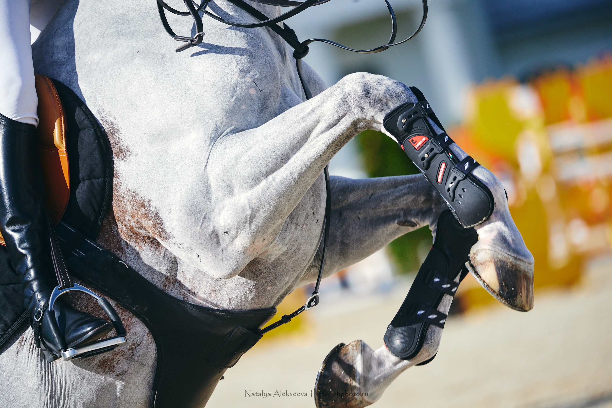 Кубок Bitriver по конкуру, ВДНХ | 05'2022. Репортажный фотограф и ретушер в Москве Наталья Алексеева