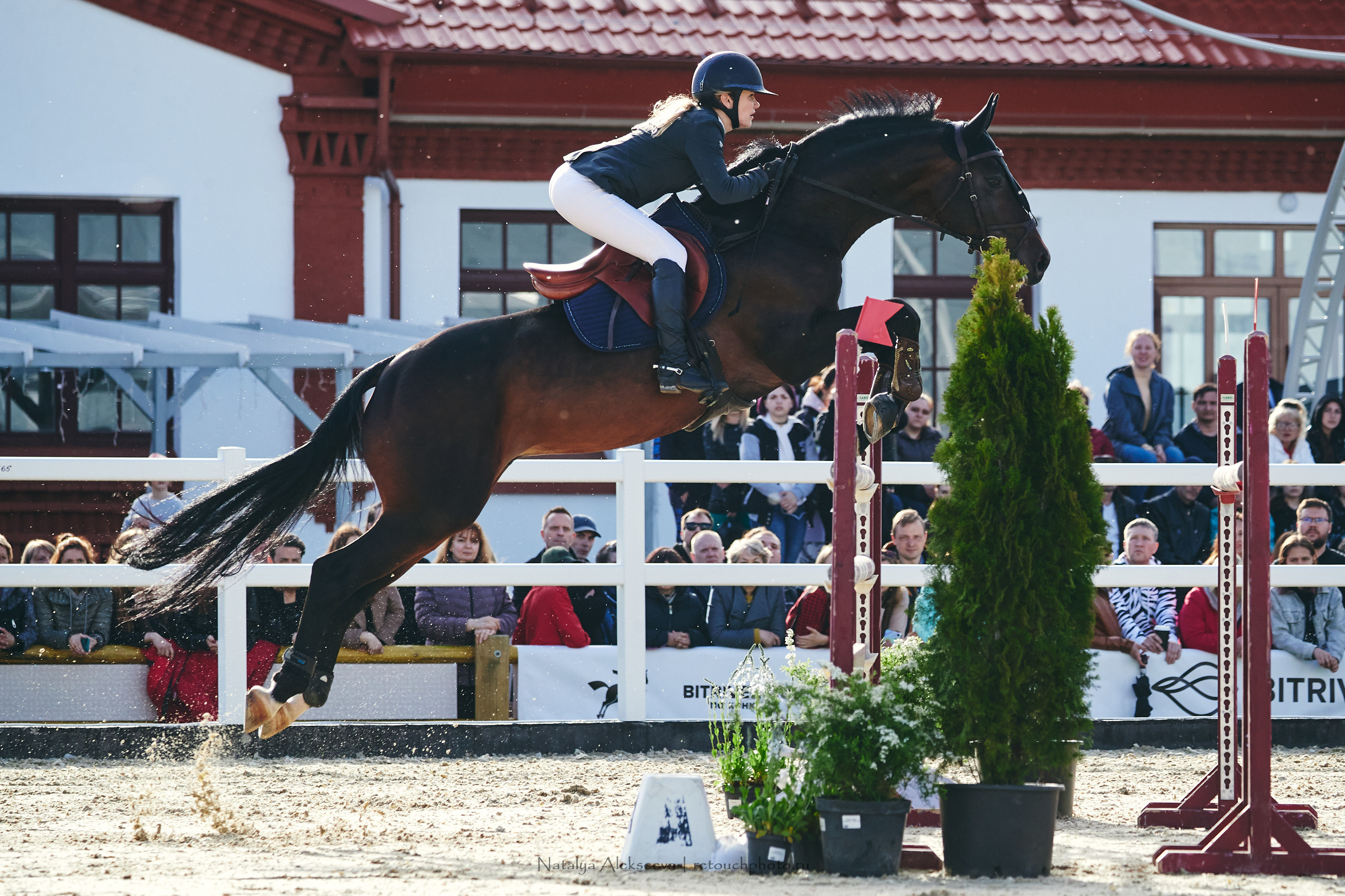 Кубок Bitriver по конкуру, ВДНХ | 05'2022. Репортажный фотограф и ретушер в Москве Наталья Алексеева