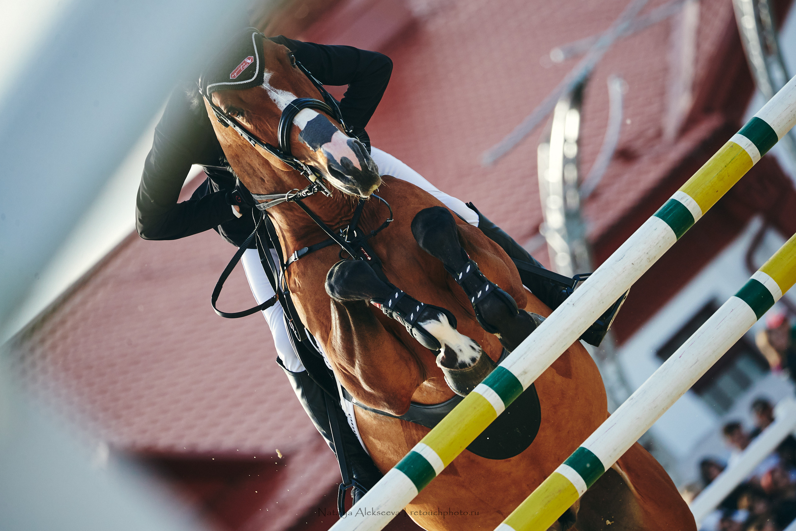 Кубок Bitriver по конкуру, ВДНХ | 05'2022. Репортажный фотограф и ретушер в Москве Наталья Алексеева