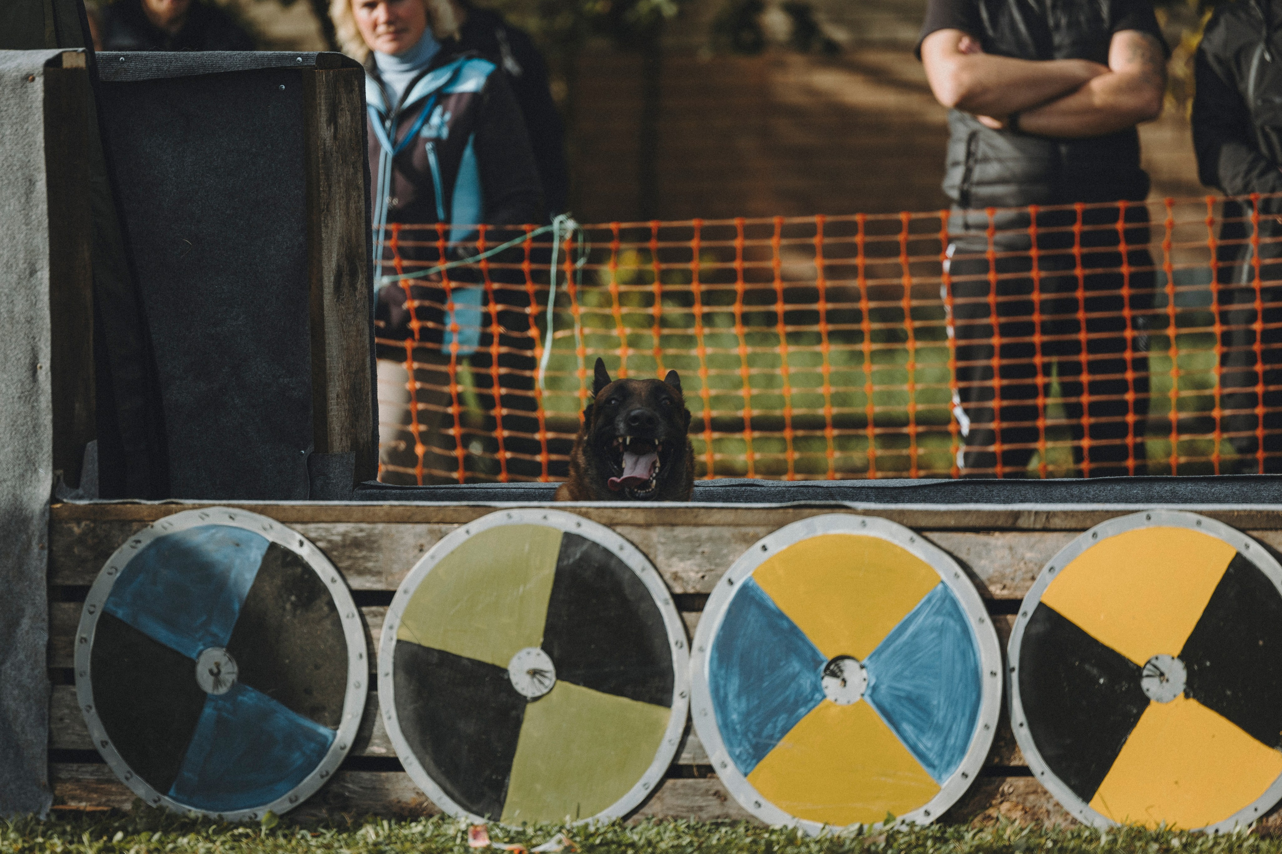 Испытания по мондьорингу г. Пушкин 29.09.2024. Фотограф-анималист Анна Маринич