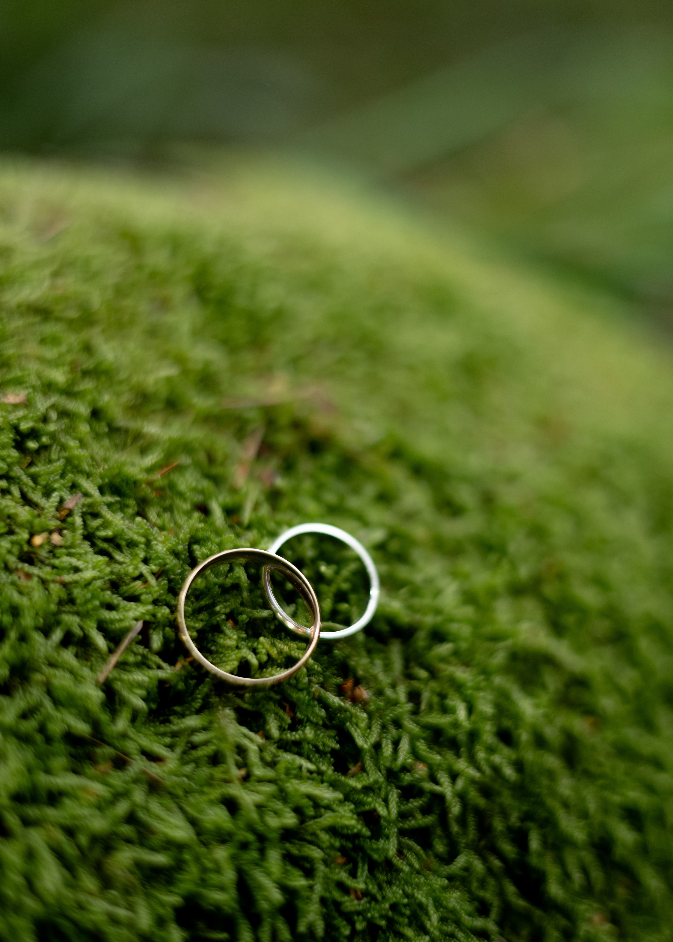 Денис & Дарья | в лесу. Фотограф в Калининграде Сокирко Светлана