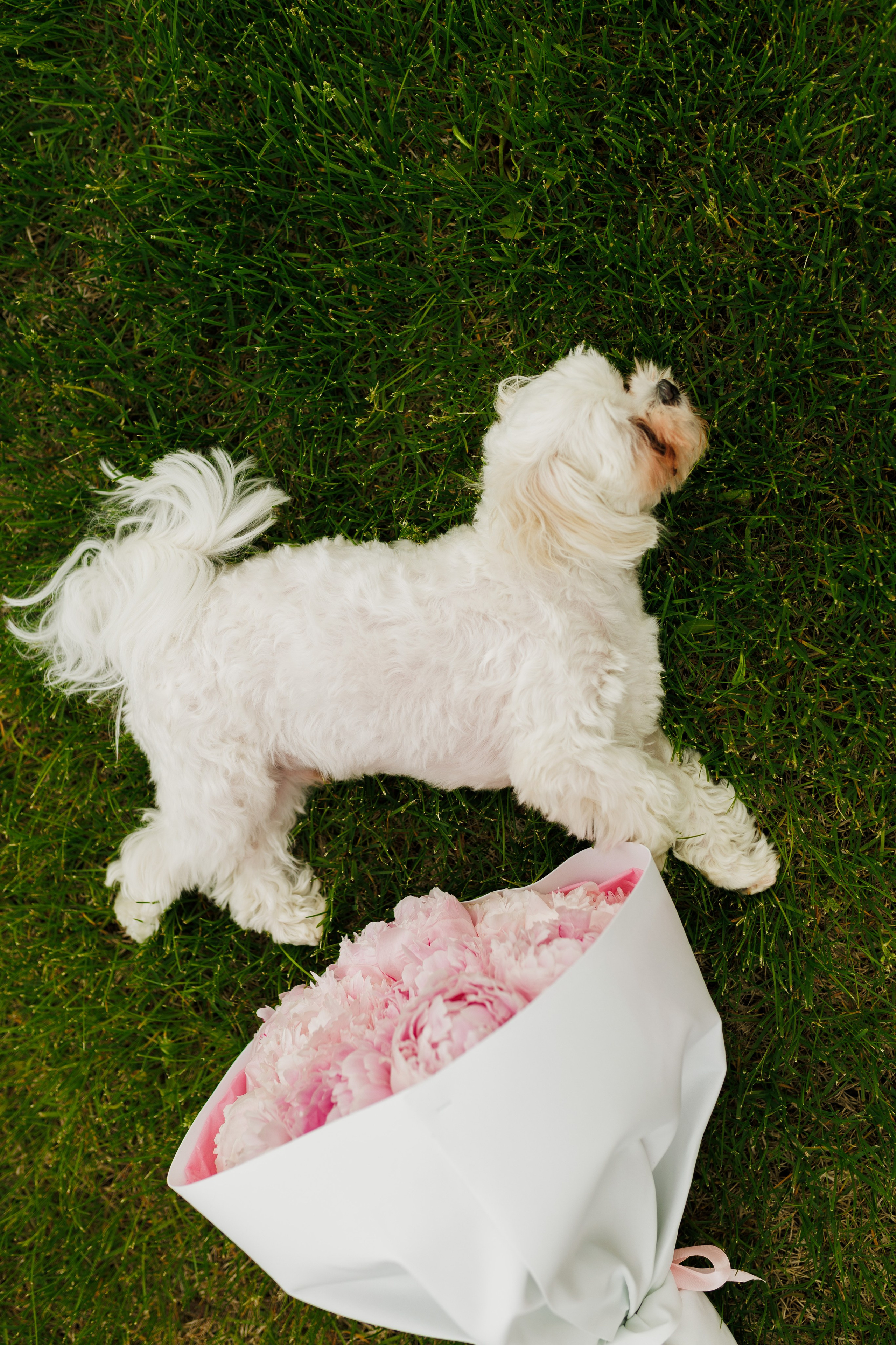 Сестры. Фотограф в Кирове Настя Шабардина