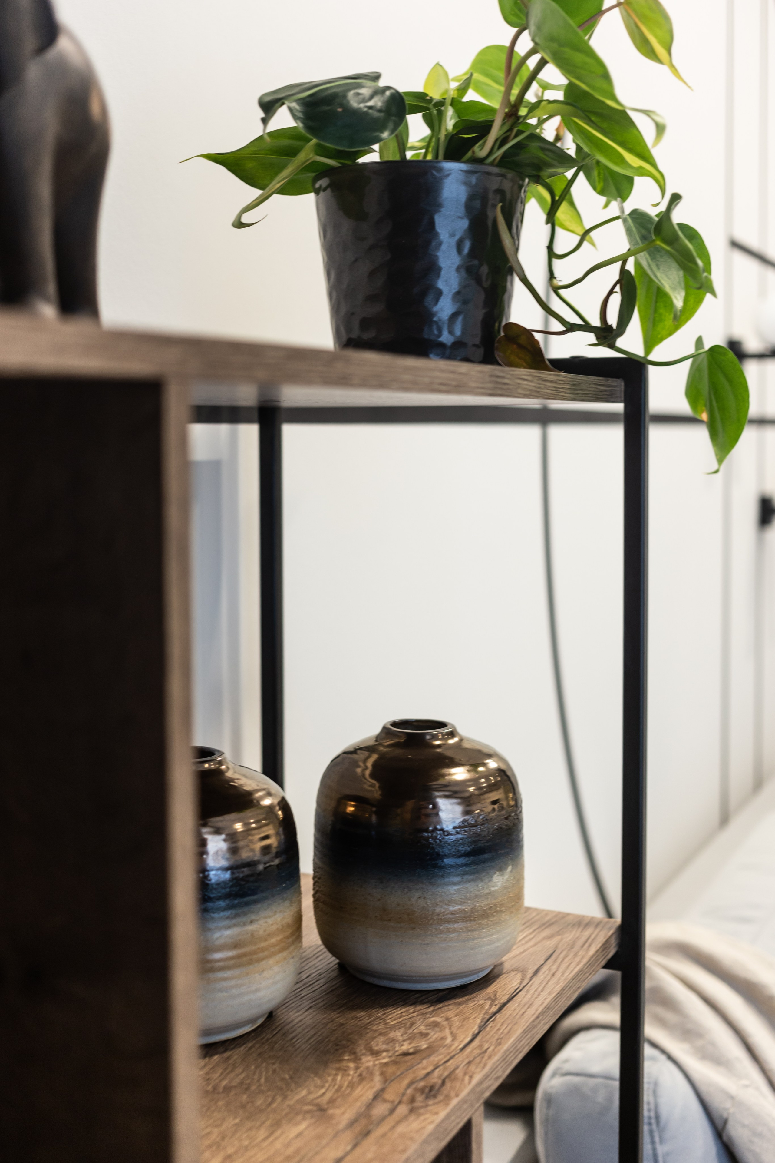 Однокомнатная геометрия. Репортажный фотограф Анастасия Головко