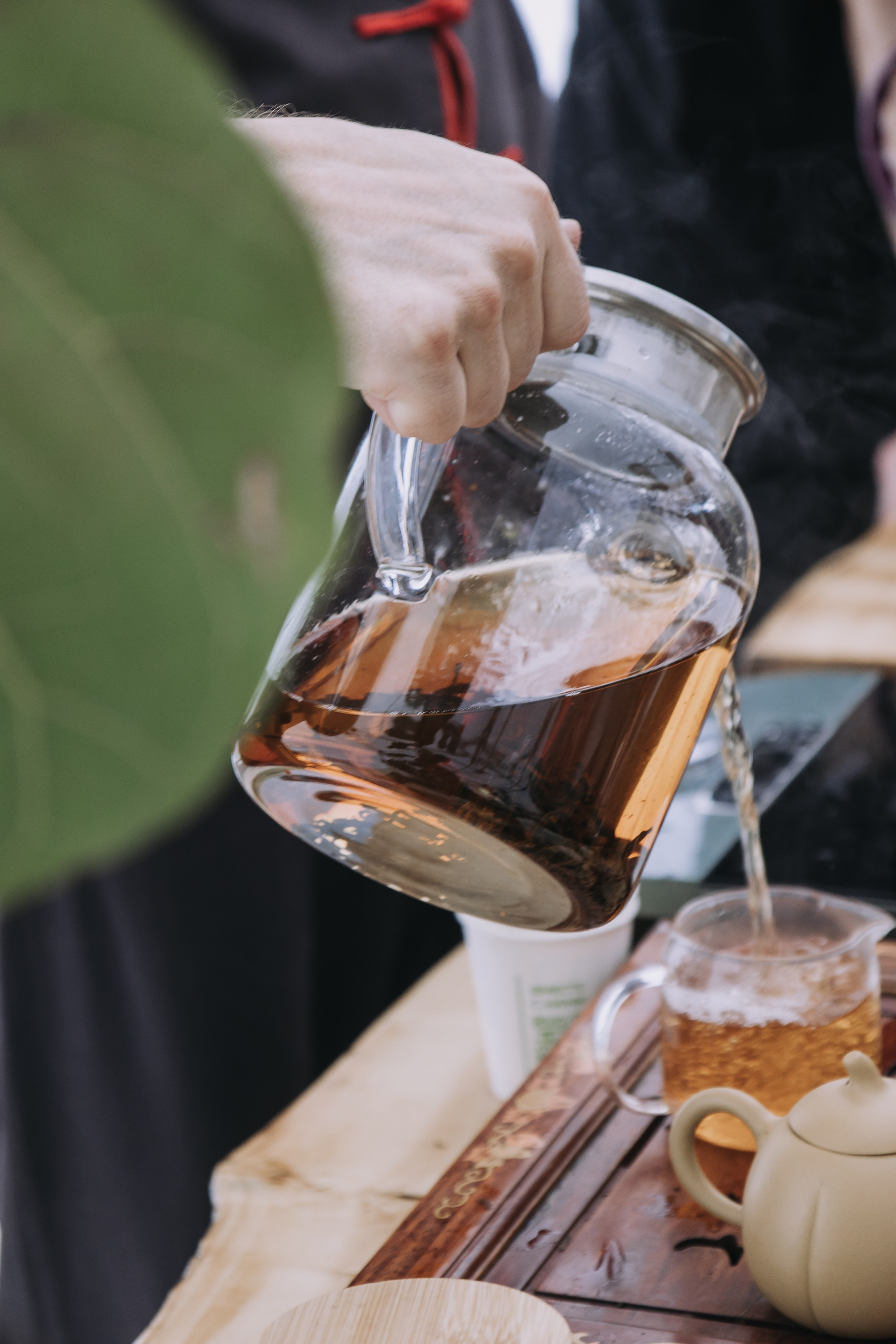 Корпоратив Природа. Репортажный фотограф Анастасия Головко