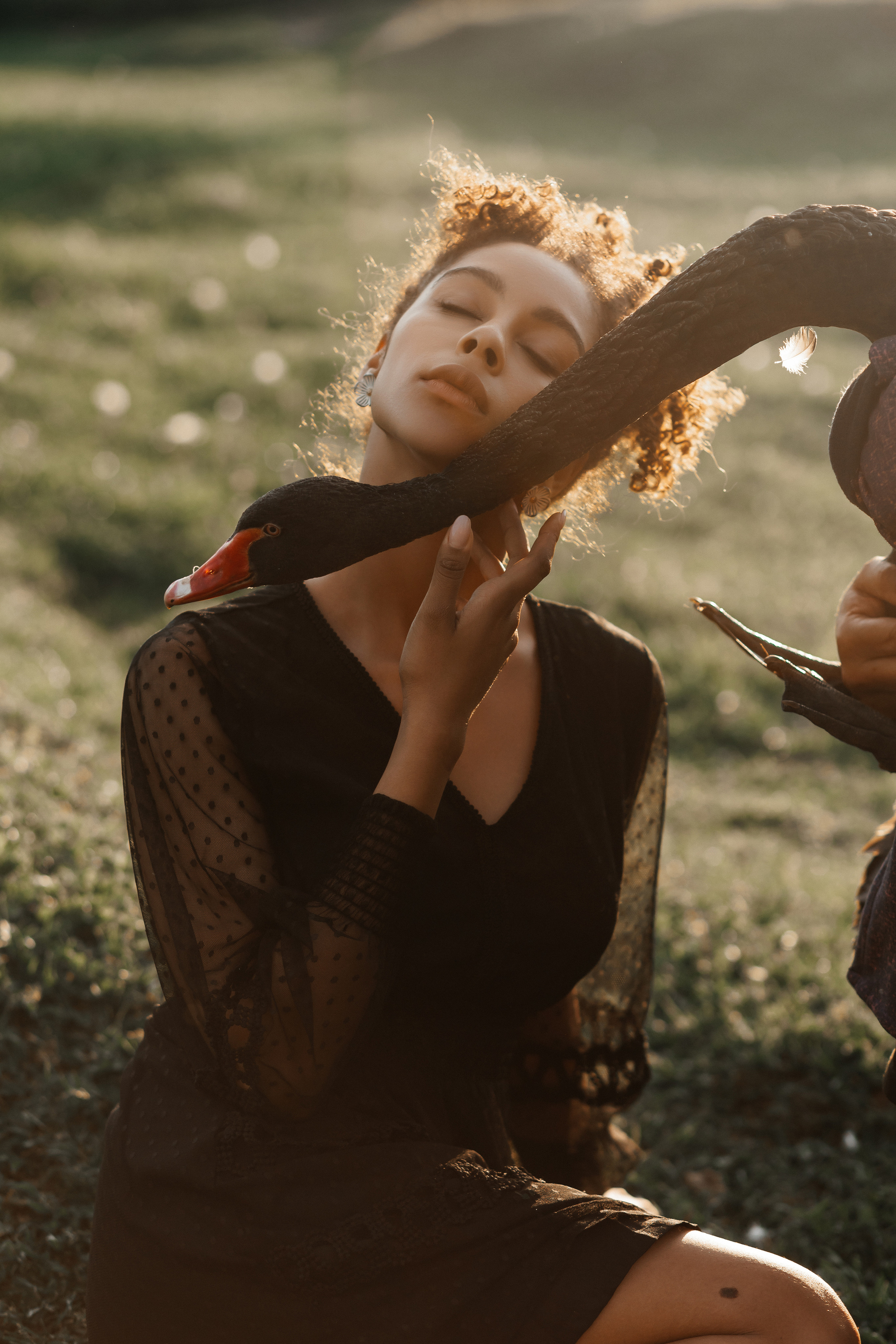 Амалия (съемка с лебедем). Фотограф Наталия Федосова, г. Москва. TG и Instagram @nataliya_raw