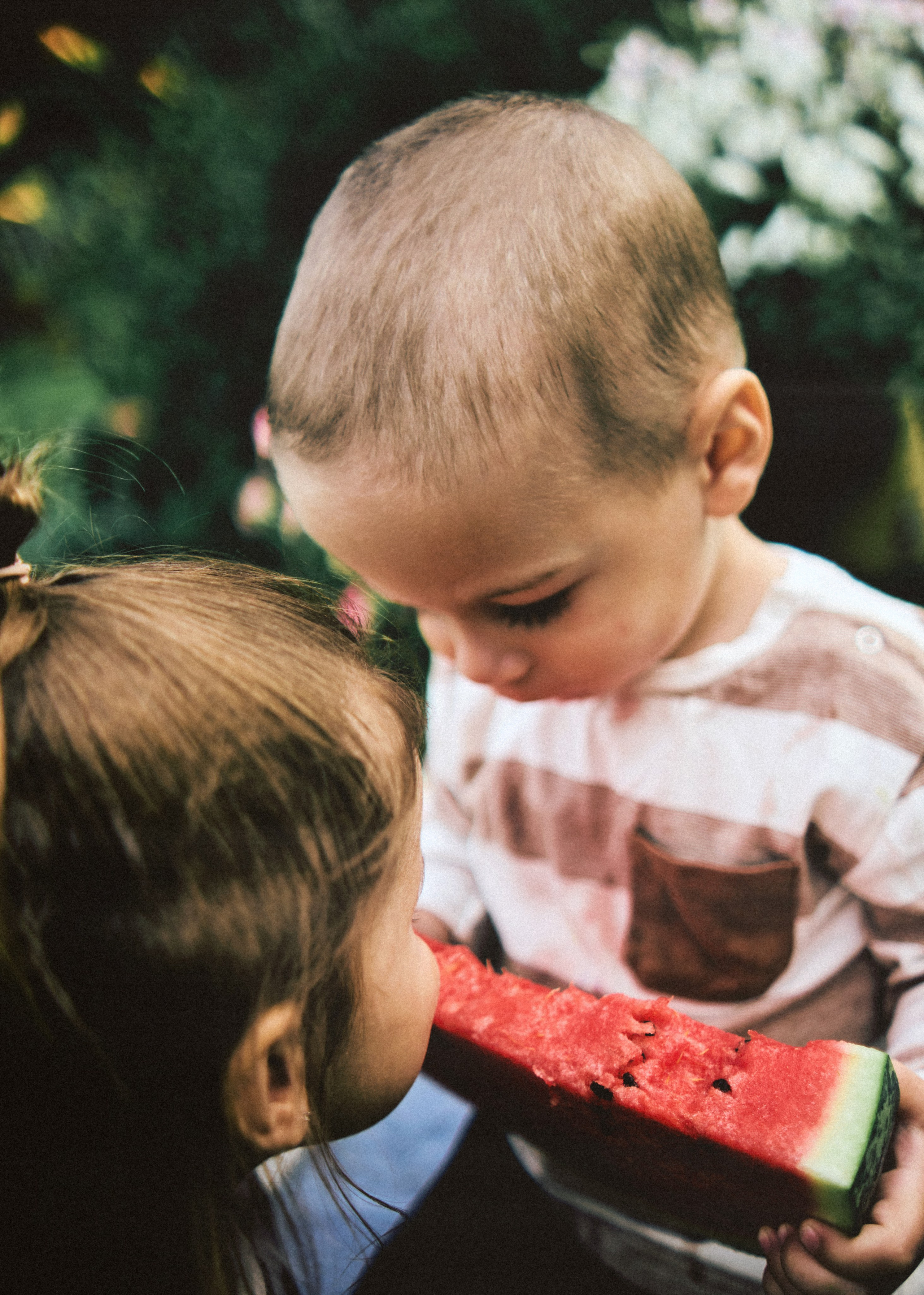 Банда. SHILOVA PHOTO. Шилова Екатерина. Фотограф. Москва