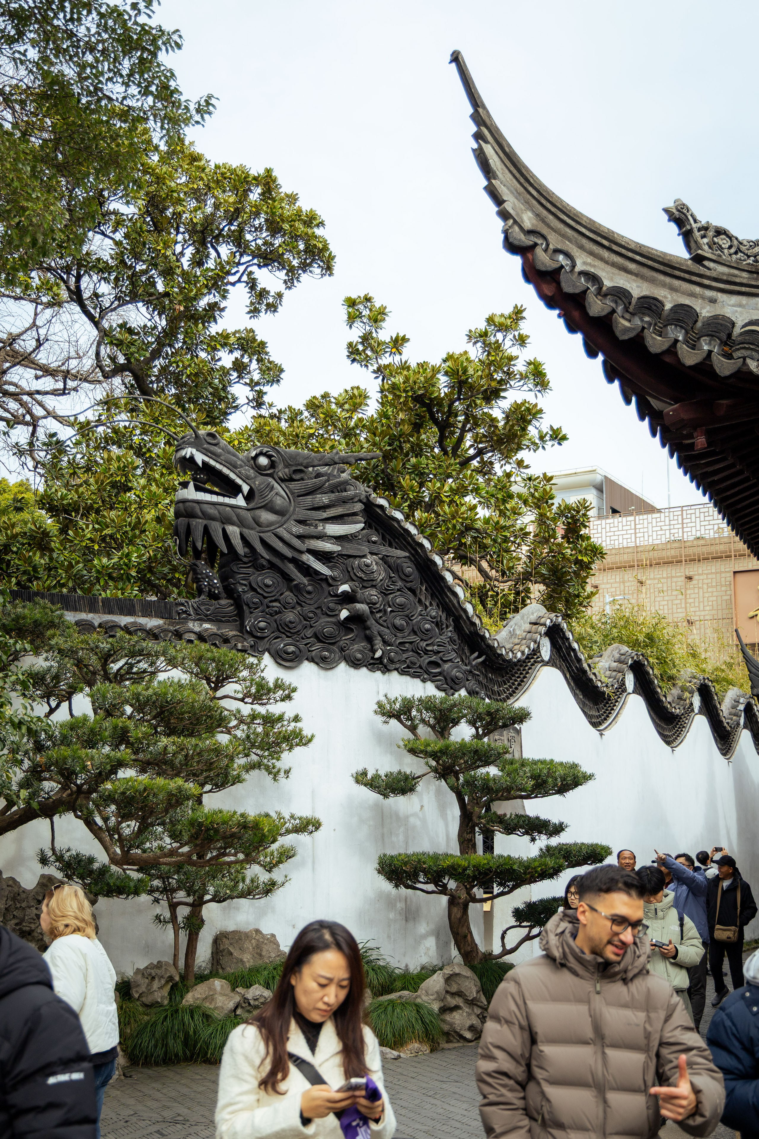 Шанхай (март 2026). Фотограф Виноградов Константин