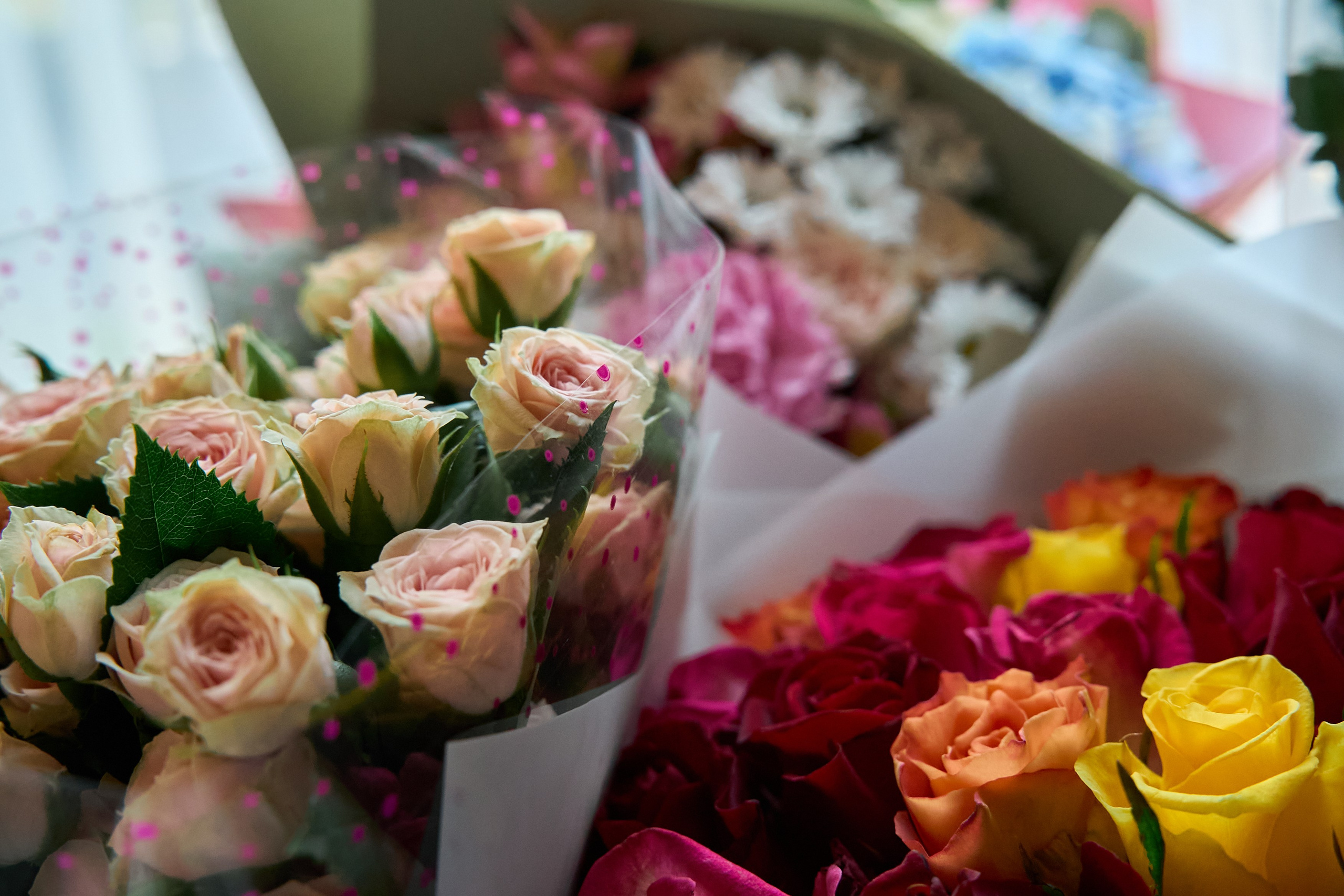 День Рождения Кати. Елизавета Мальгина, фотограф в Москве