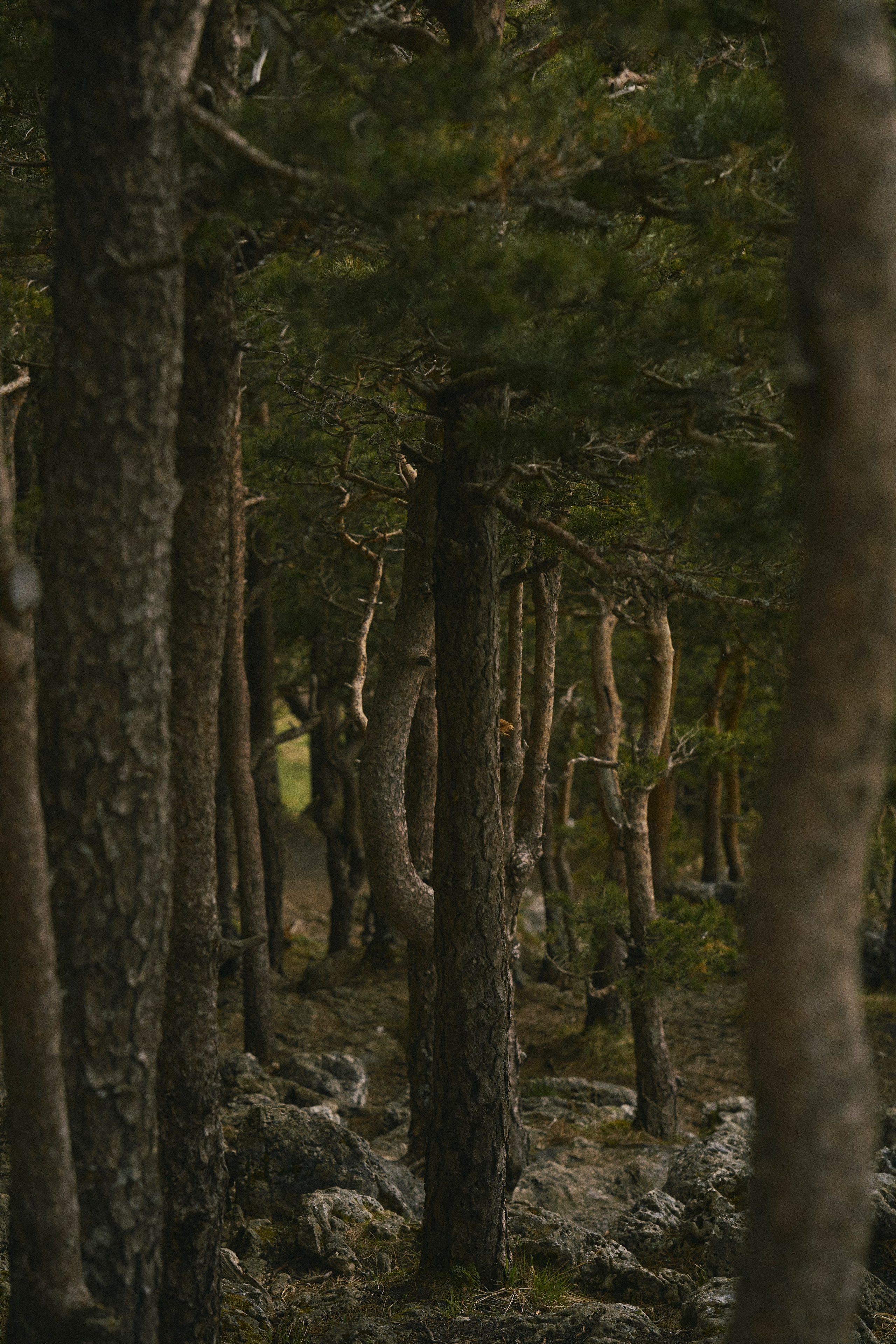 Krasnodar. Гасанова Алина|Фотограф в Санкт-Петербурге