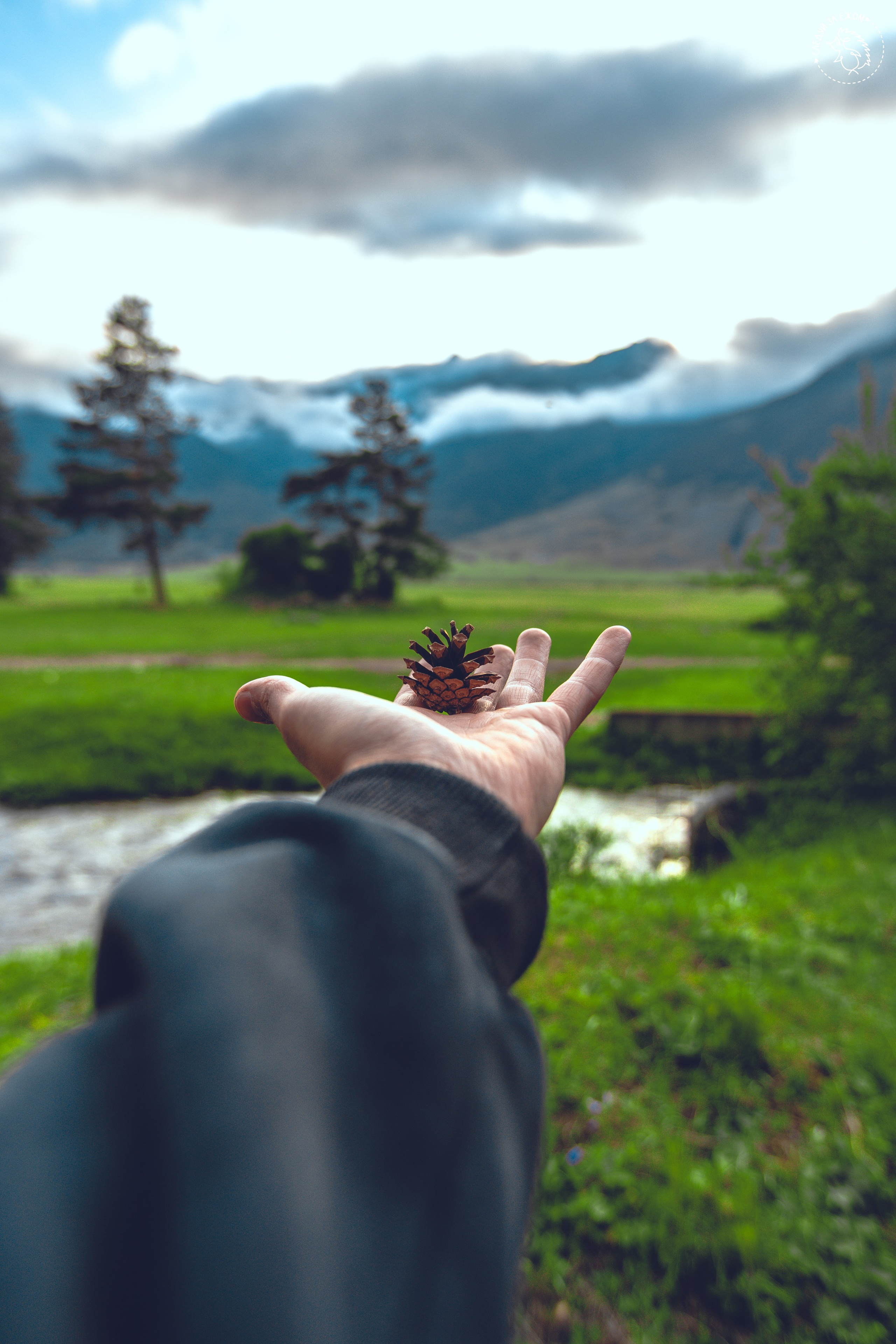 ПРЕКЛЮЧЕНИЯ. Дудченко Сергей фотограф и видеограф Краснодар