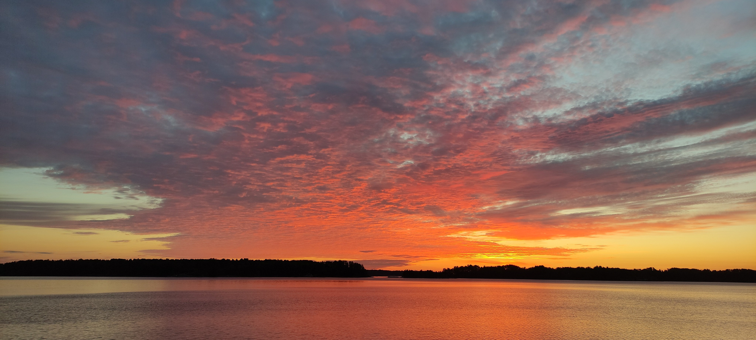 Концепция. Кирилл Агеев художник Санкт-Петербург