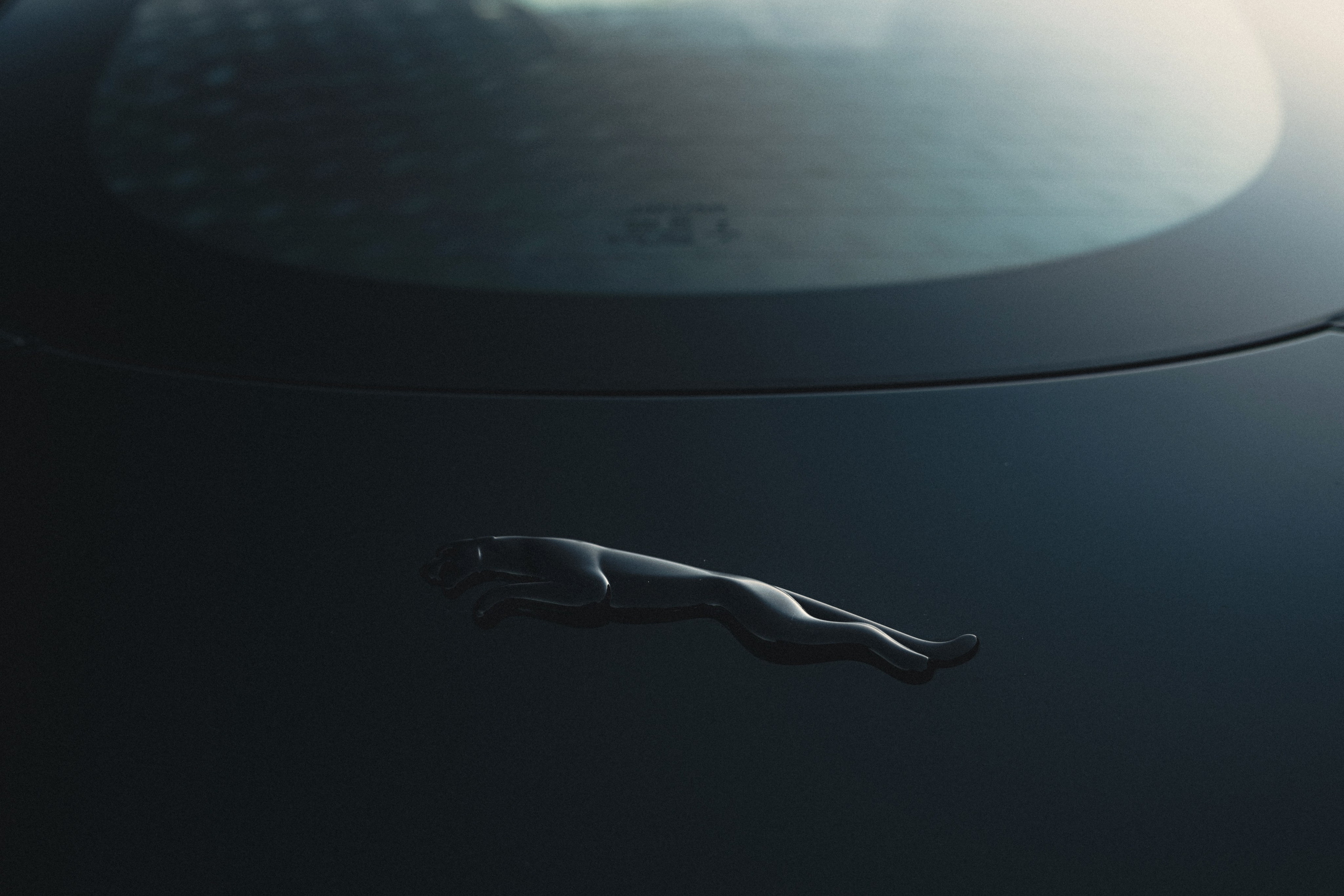 Jaguar F-type S x Egor. Фотограф Илья К. в Москве