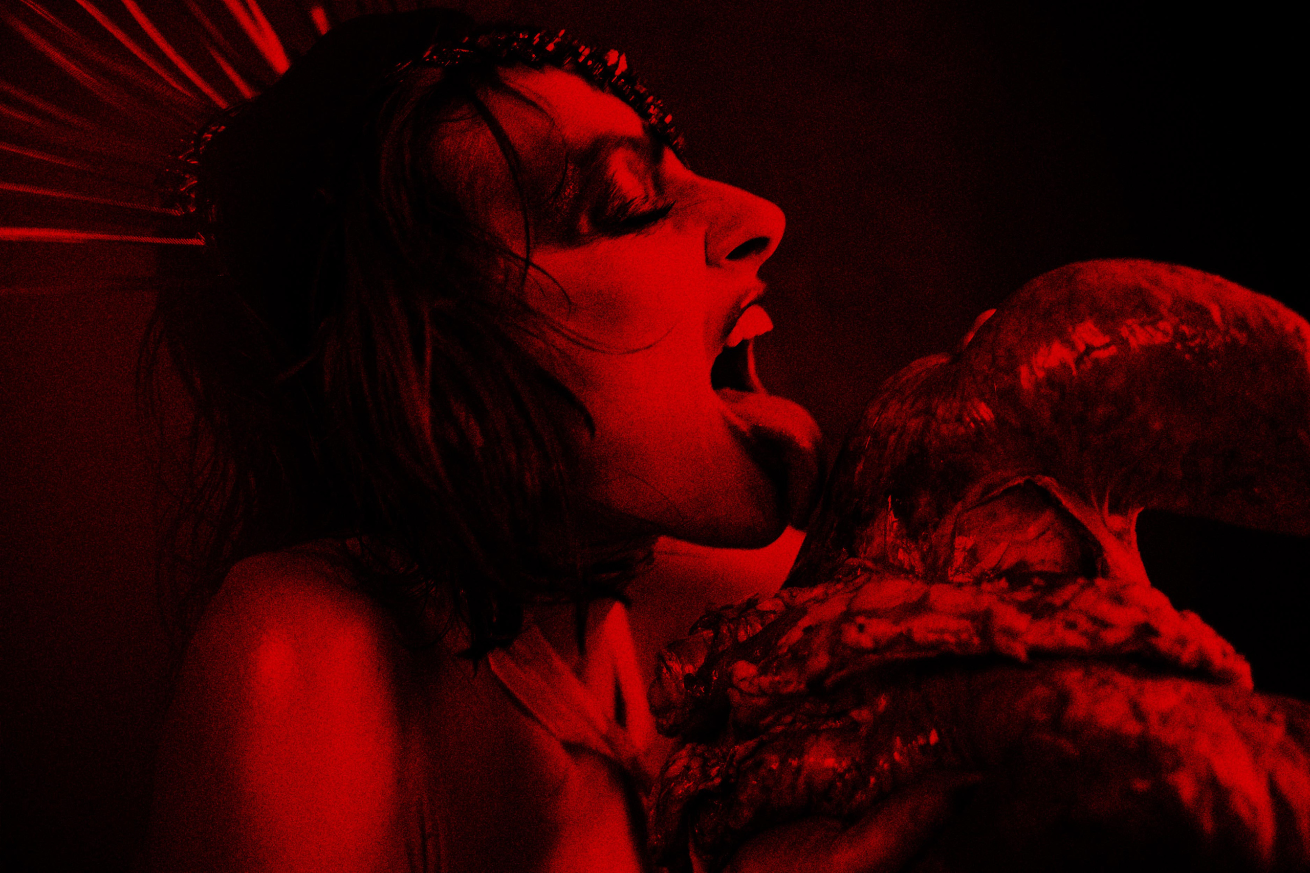 COVID Queen. Артем Ракаев — фотограф и видеомейкер из Санкт-Петербурга