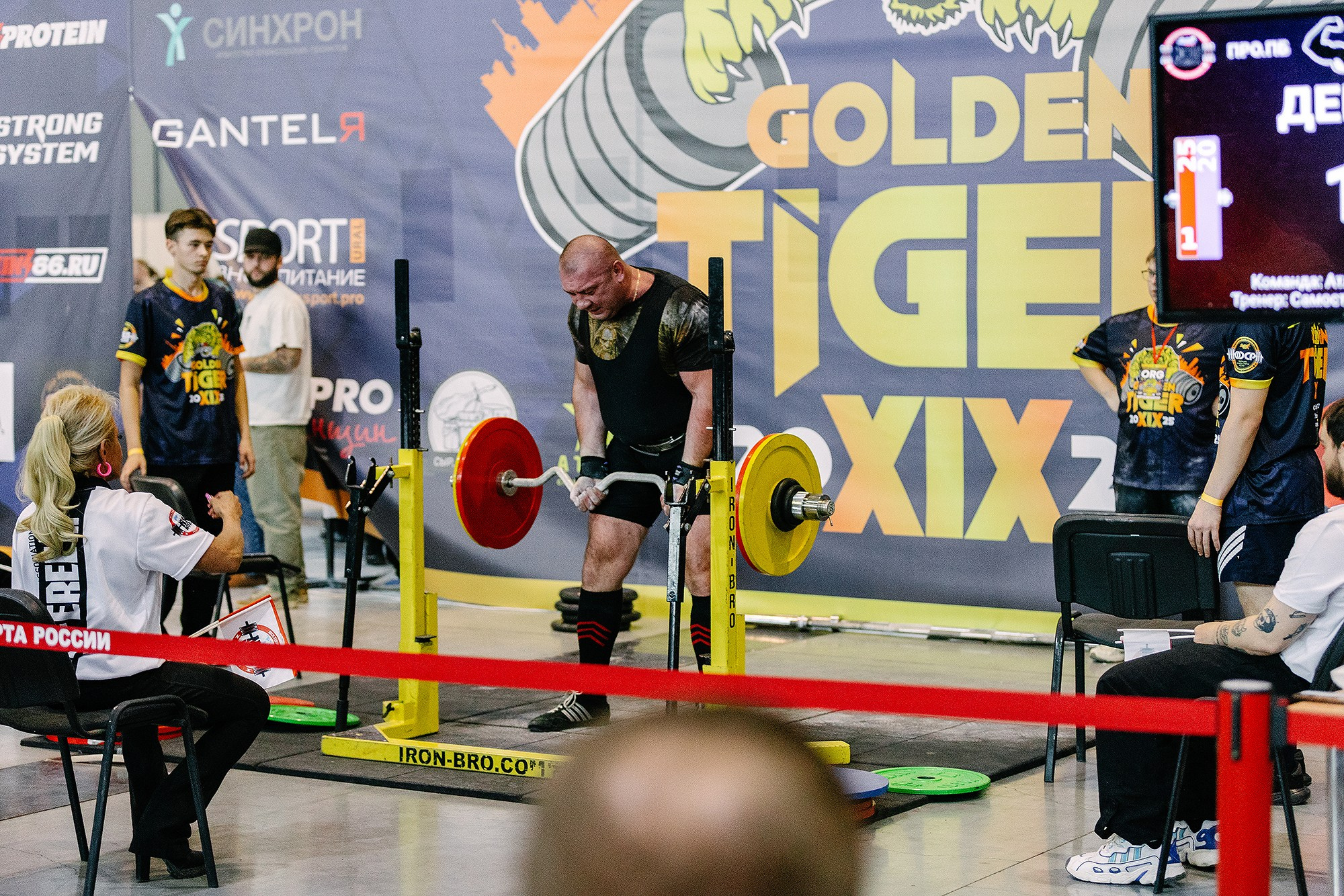 GOLDEN TIGER — XIX. Семейный и репортажный фотограф Наташа Давыдова