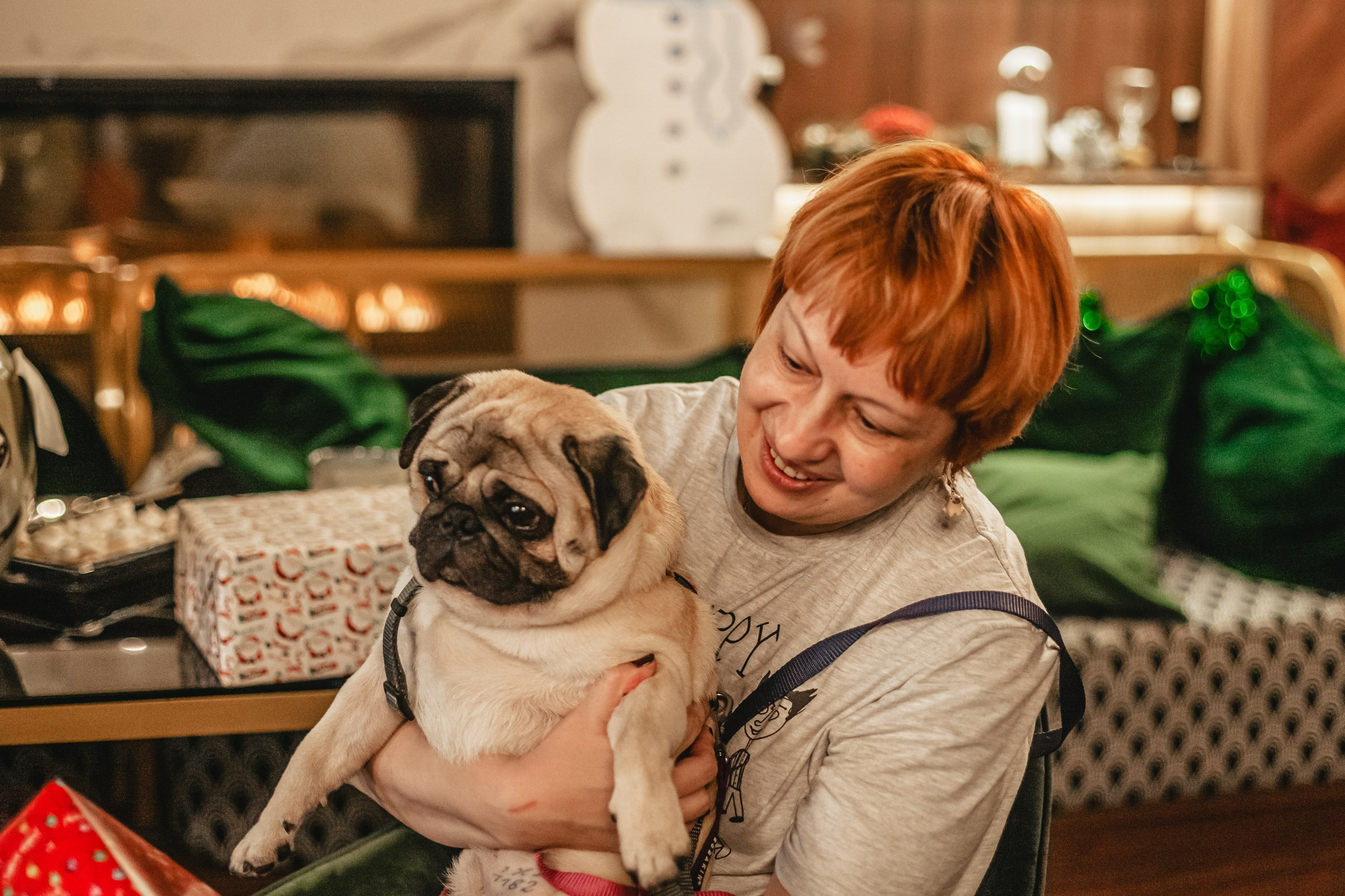 Мопсовстреча 02.12.2023. Фотограф-анималист Татьяна Степанова