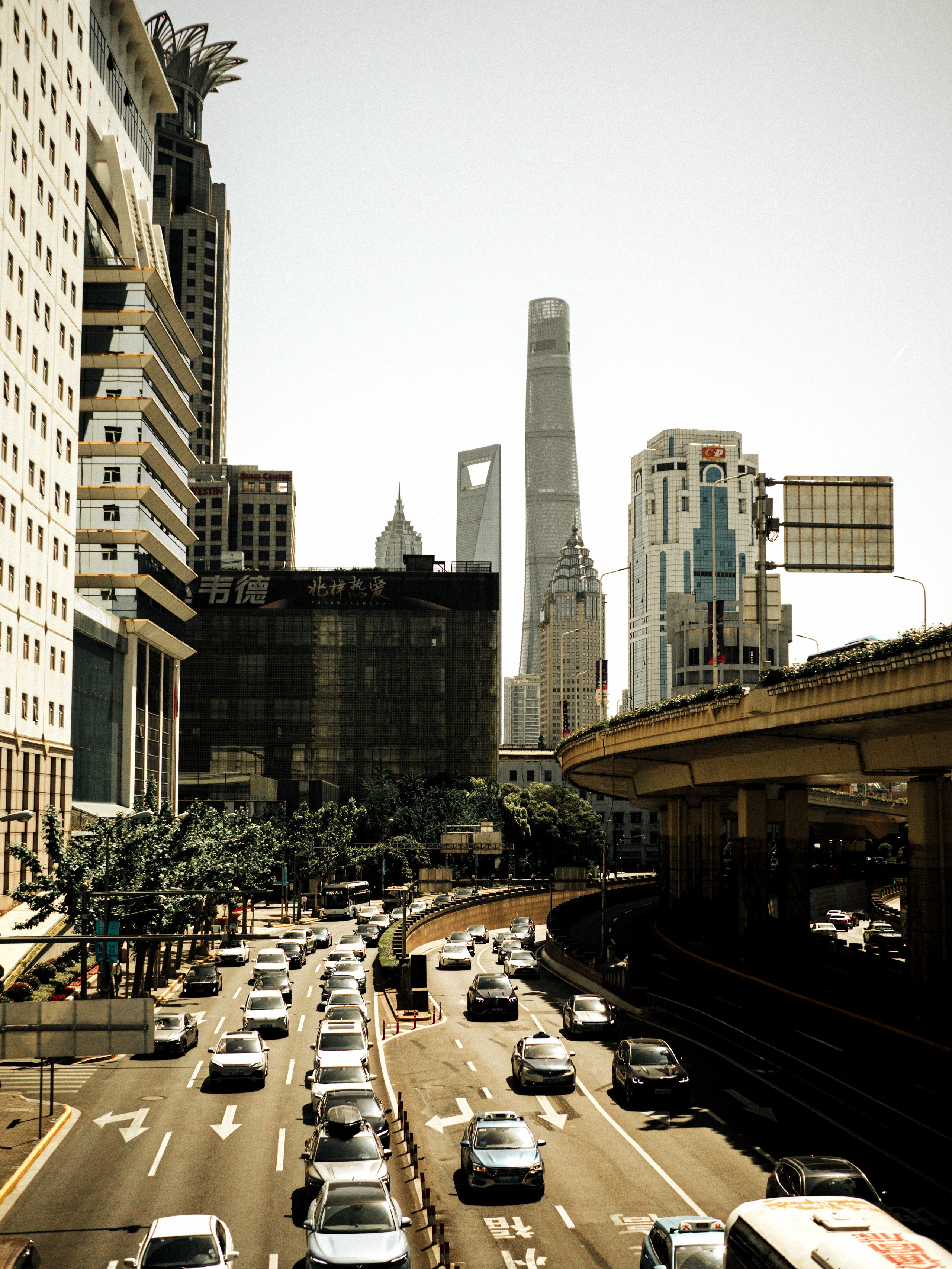 Shang Hai 上海. Фотограф и видеограф в Благовещенске и Санкт-Петербурге Мурыгина Мария