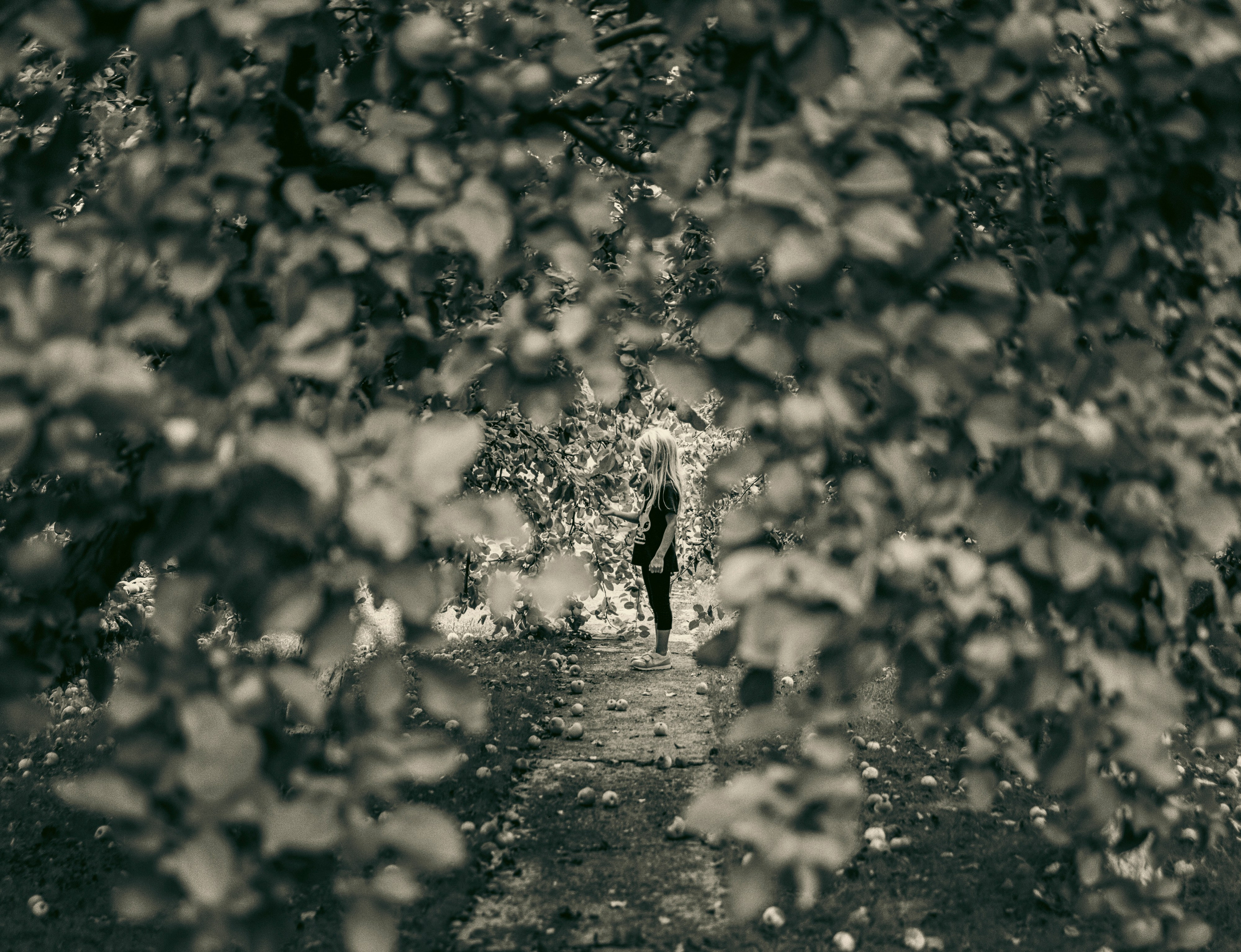 Интервью PX3 PRIX DE LA PHOTOGRAPHIE PARIS. Вероника Трубникова — фотохудожница / Veronika Trubnikova — photoartist