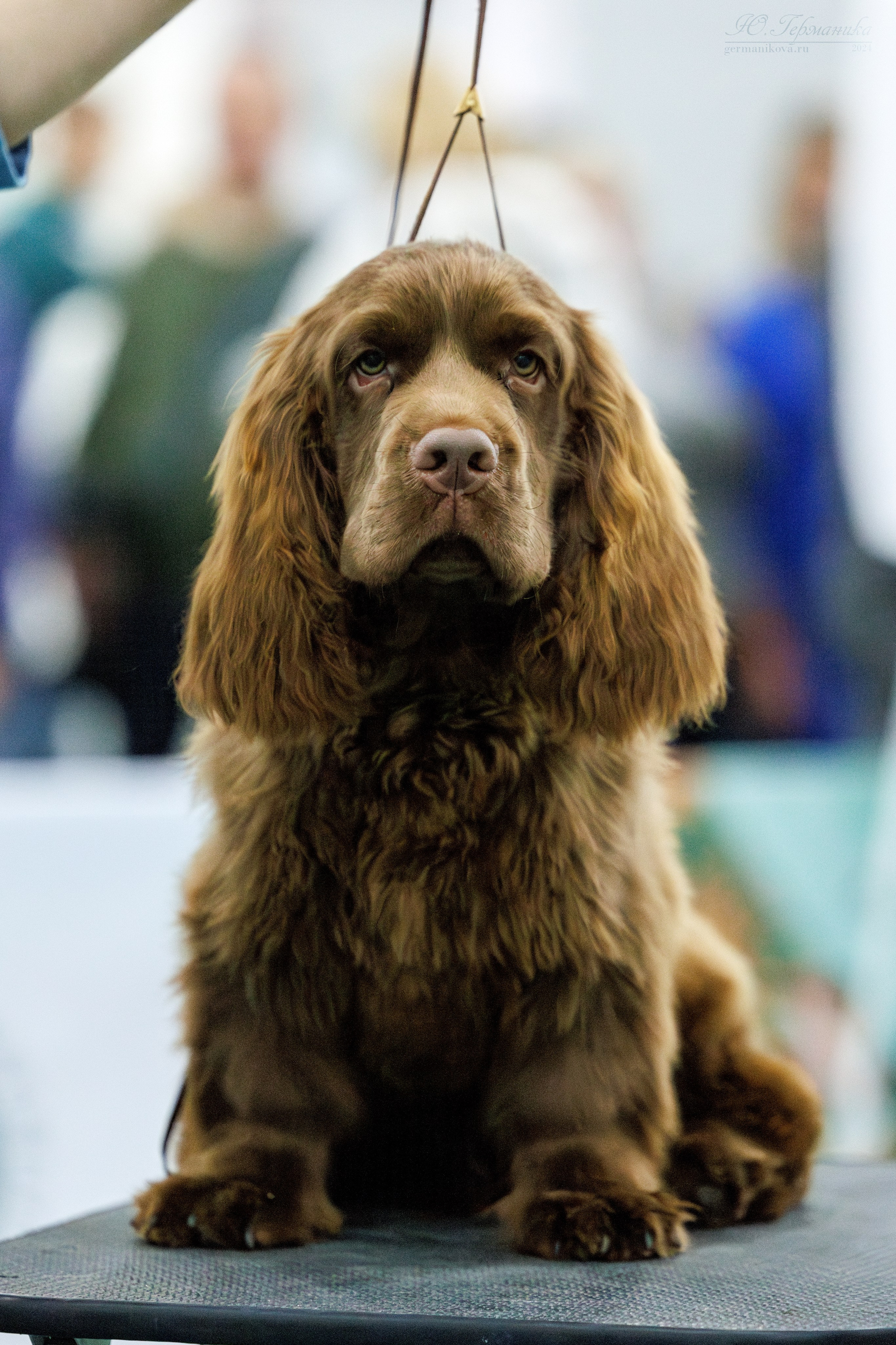 Евразия 16-17.11.2024. Фотограф-анималист Юлия Германика