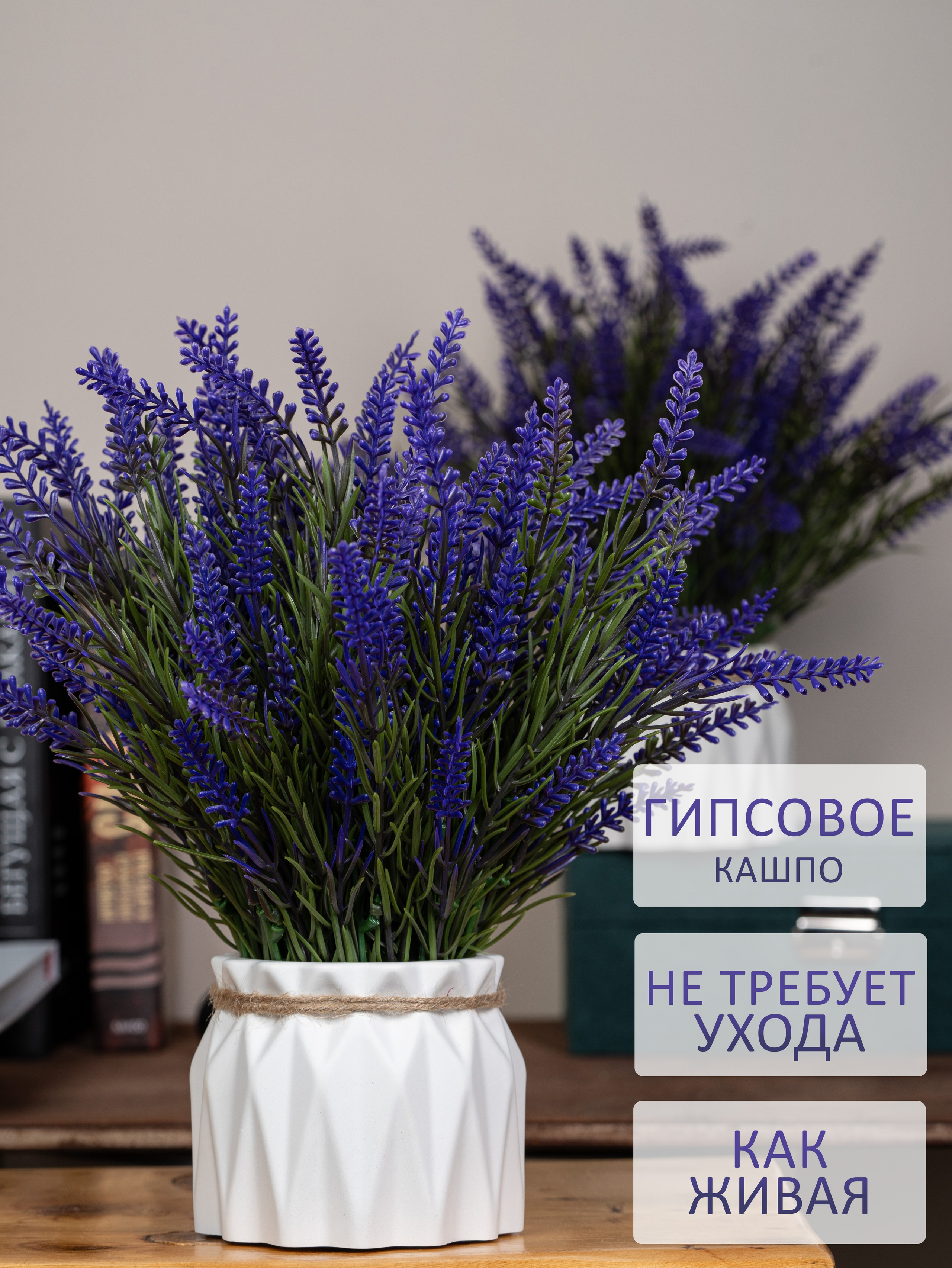 дизайн карточек цветов для маркетплейсов