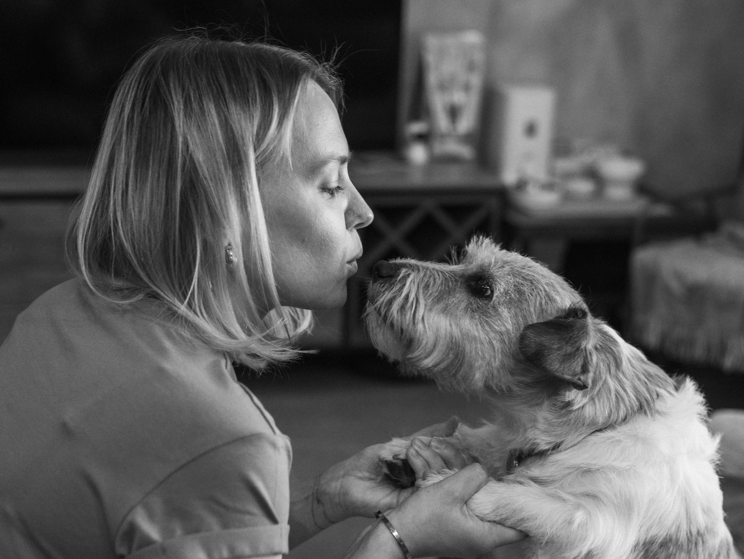 День рождение Зенита. Фотограф-анималист в Москве Кириллова Татьяна