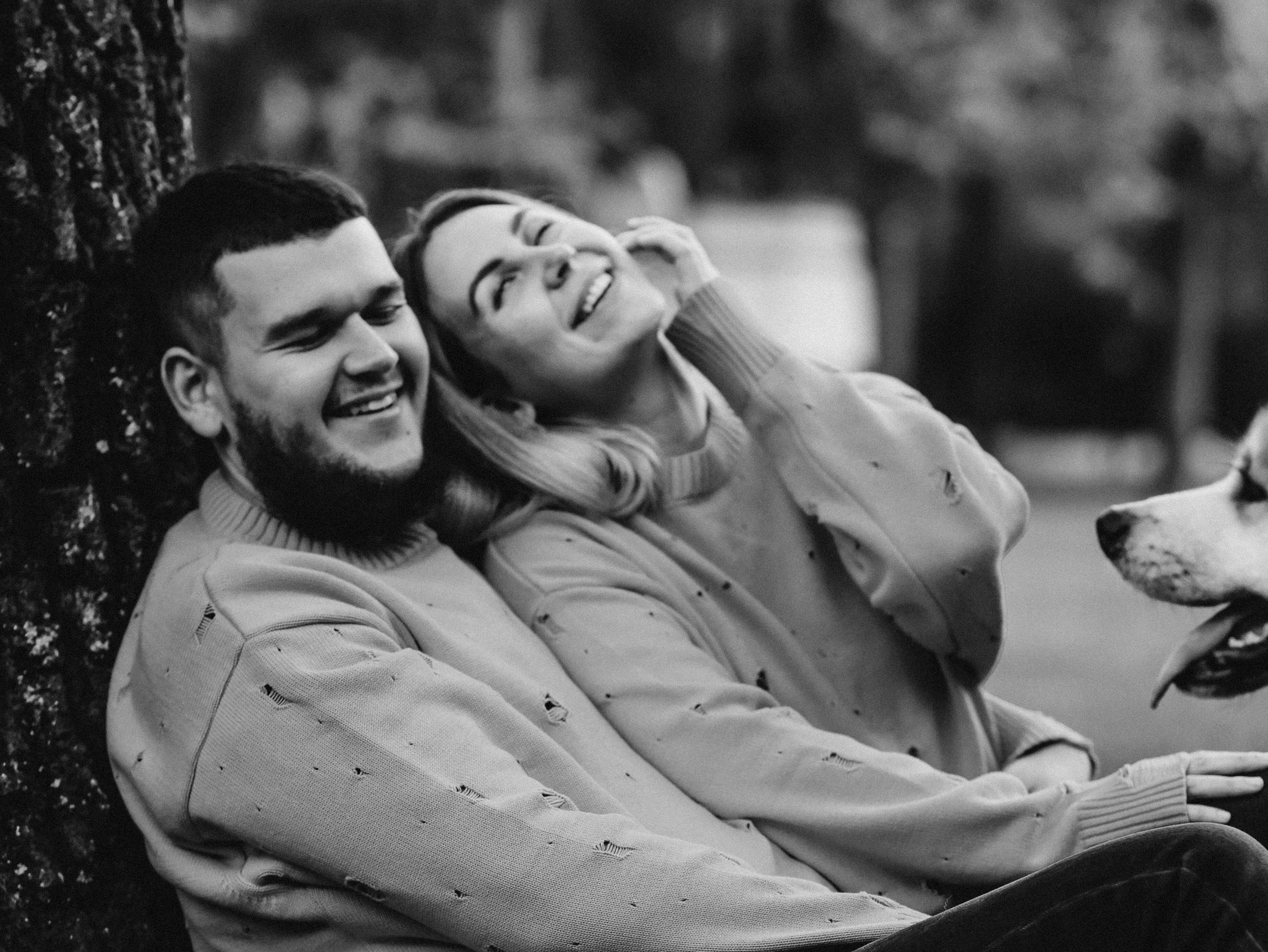 Гранд, Вика и Степан. Фотограф-анималист в Москве Кириллова Татьяна