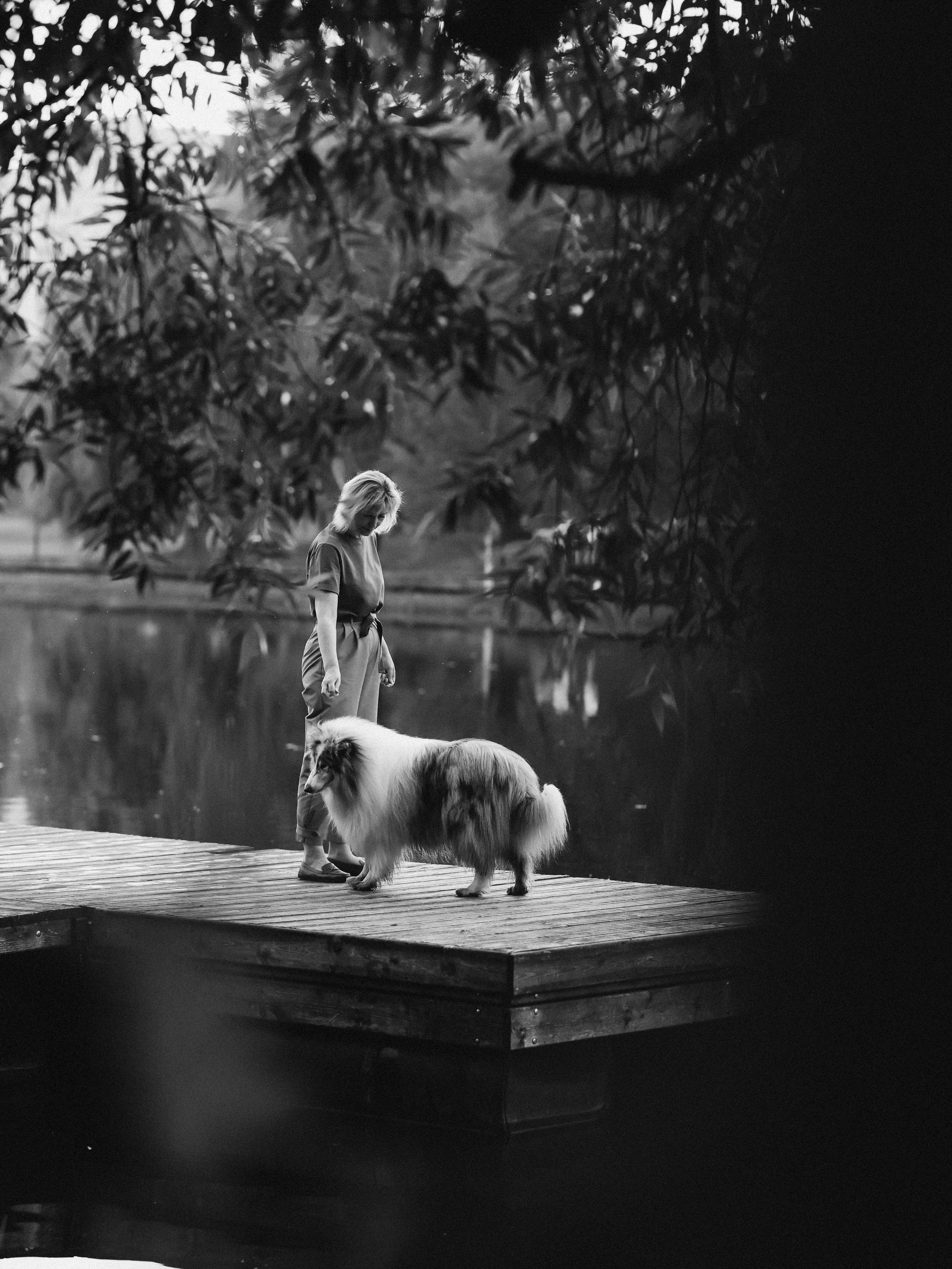 Гранд и Инга. Фотограф-анималист в Москве Кириллова Татьяна