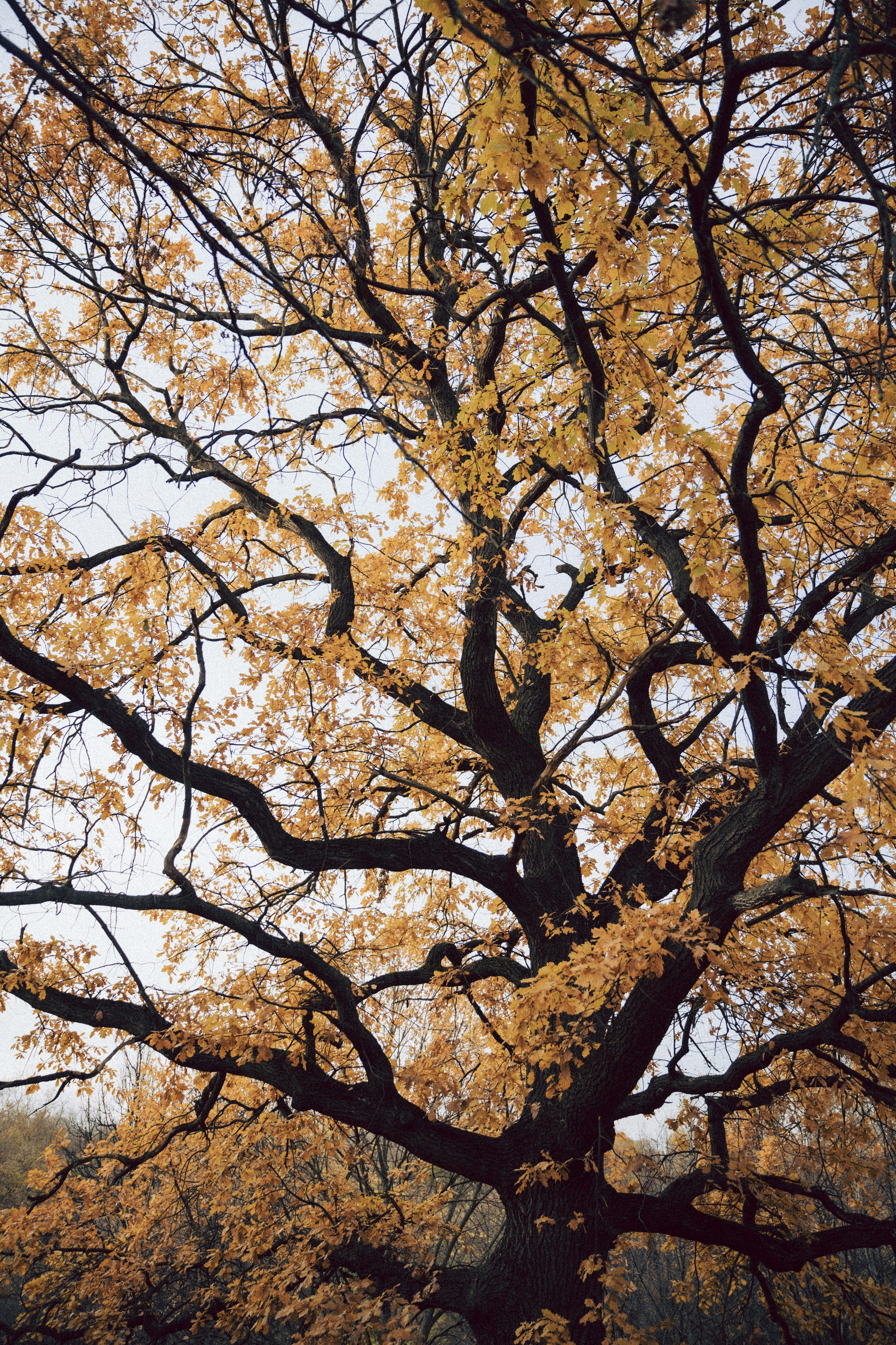 Спрячем руки в руки. Фотограф Москва Селюкова Юлия
