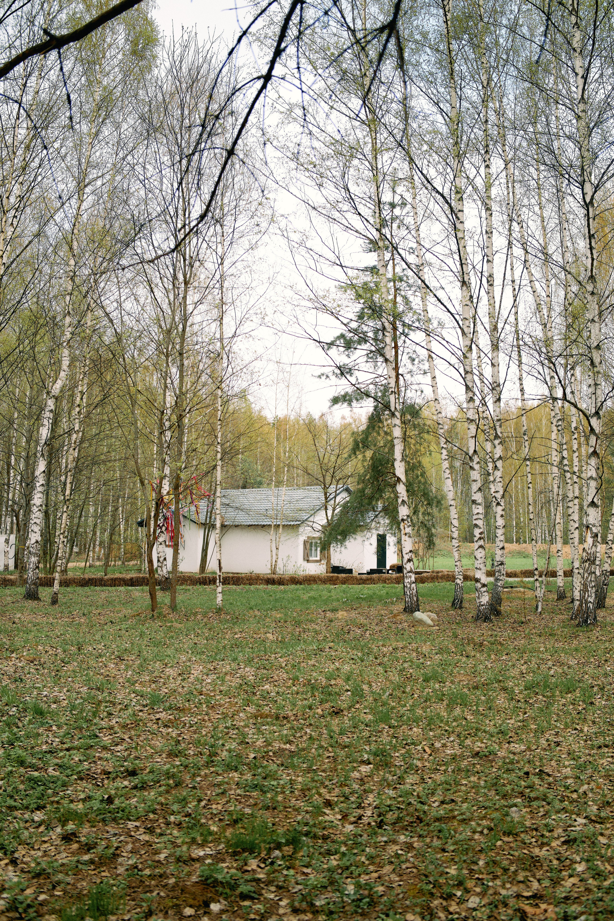 Бутик-отель Поле летом. Профессиональный Фотограф во Владимире, в Москве и в Суздале — Полина Романычева