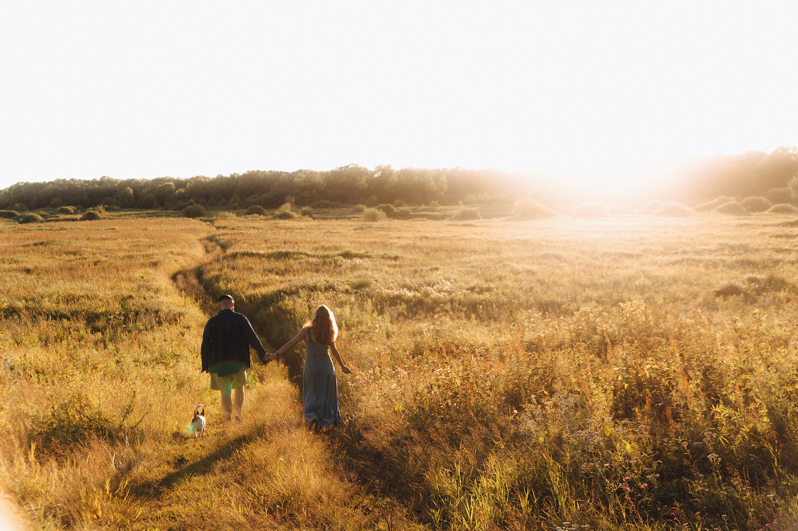 Лес.закат.Вика и Денис. Детский и семейный фотограф Катерина Мишина