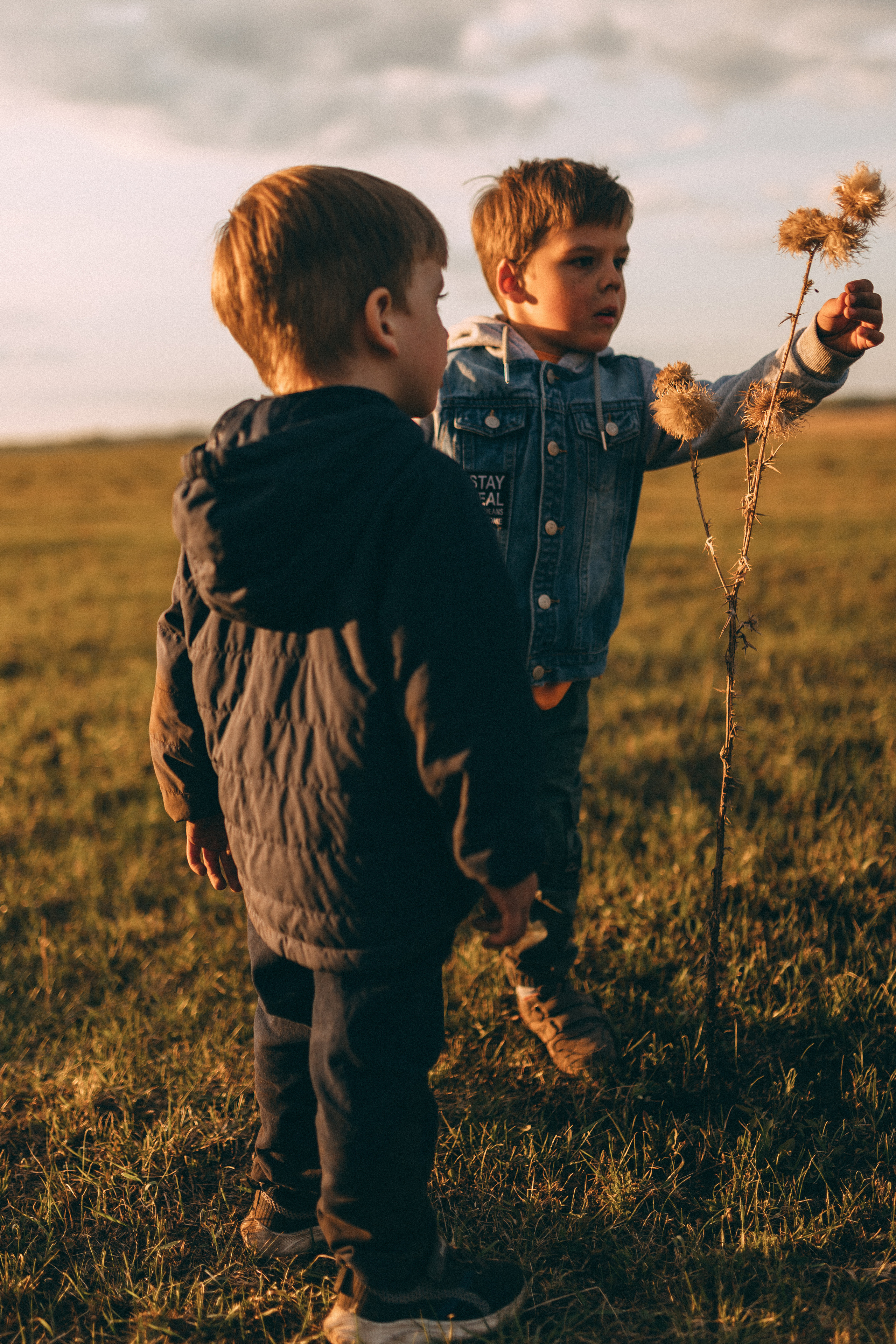 Иван, Саша и Миша. Семейный фотограф lifestyle в Новосибирске Елена Шпилевая