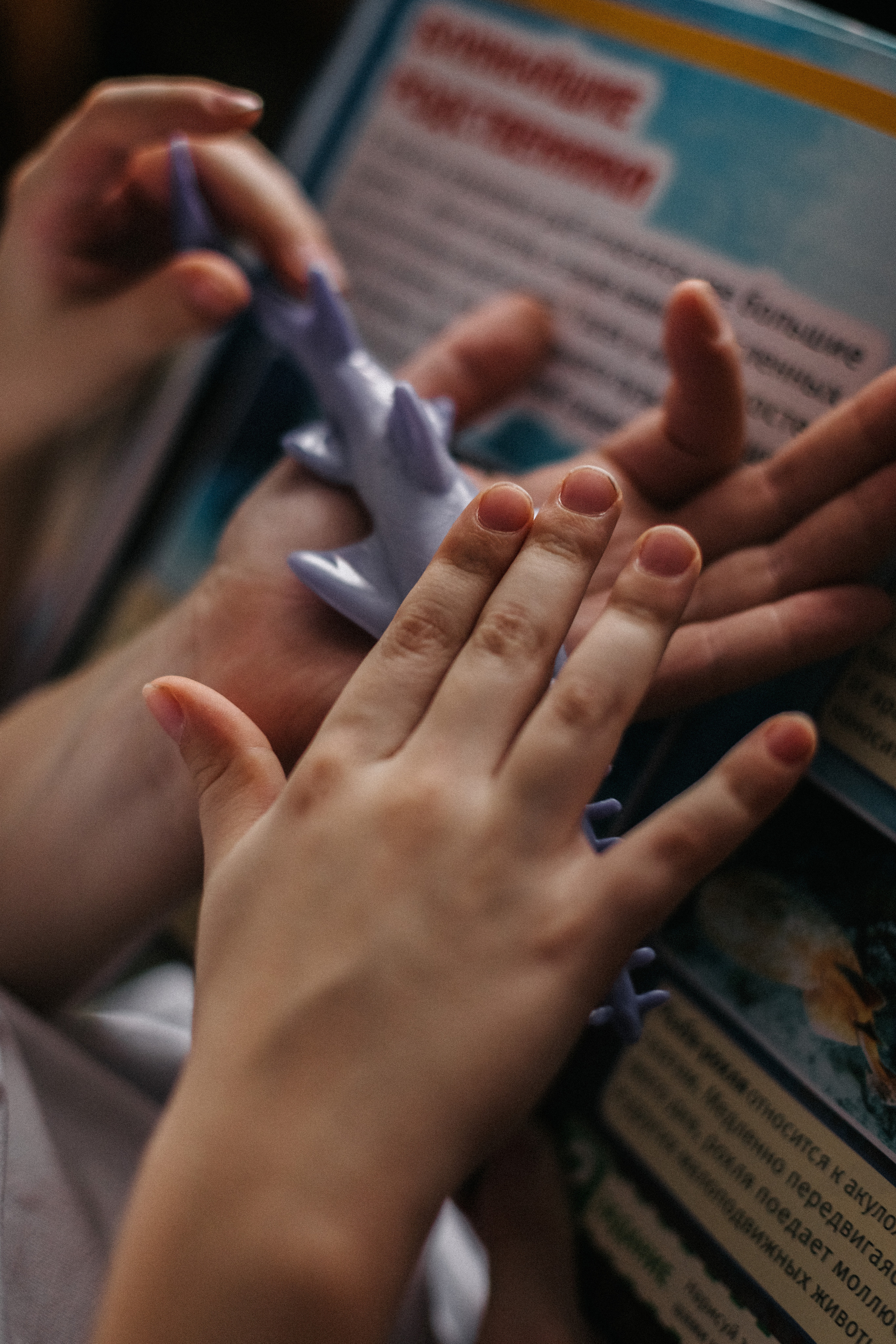 Ирина с сыновьями. Семейный фотограф lifestyle в Новосибирске Елена Шпилевая