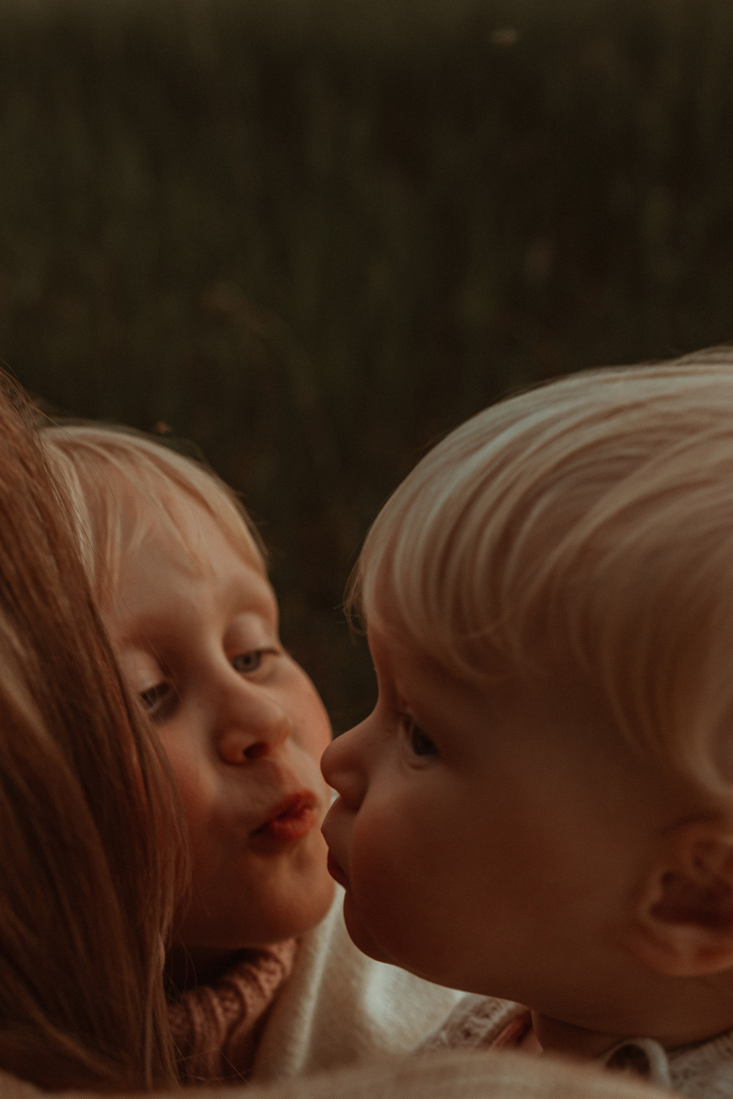 Ксения и Алексей. Семейный фотограф lifestyle в Новосибирске Елена Шпилевая