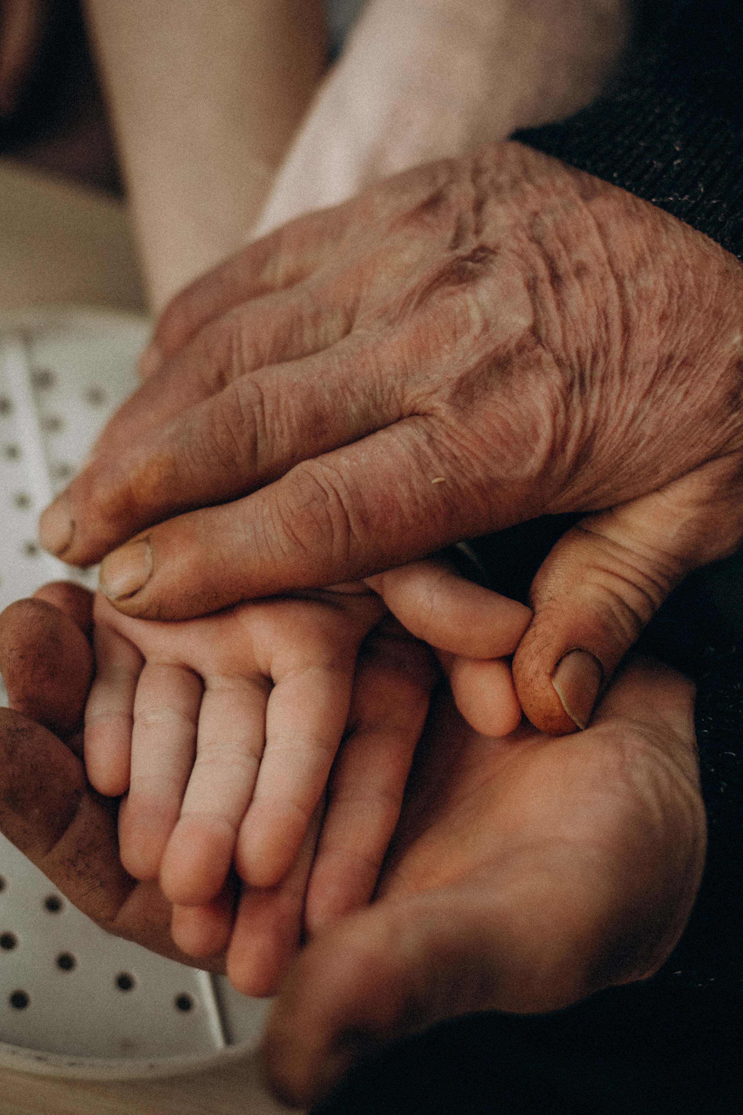 Семья Труновых. Семейный фотограф lifestyle в Новосибирске Елена Шпилевая