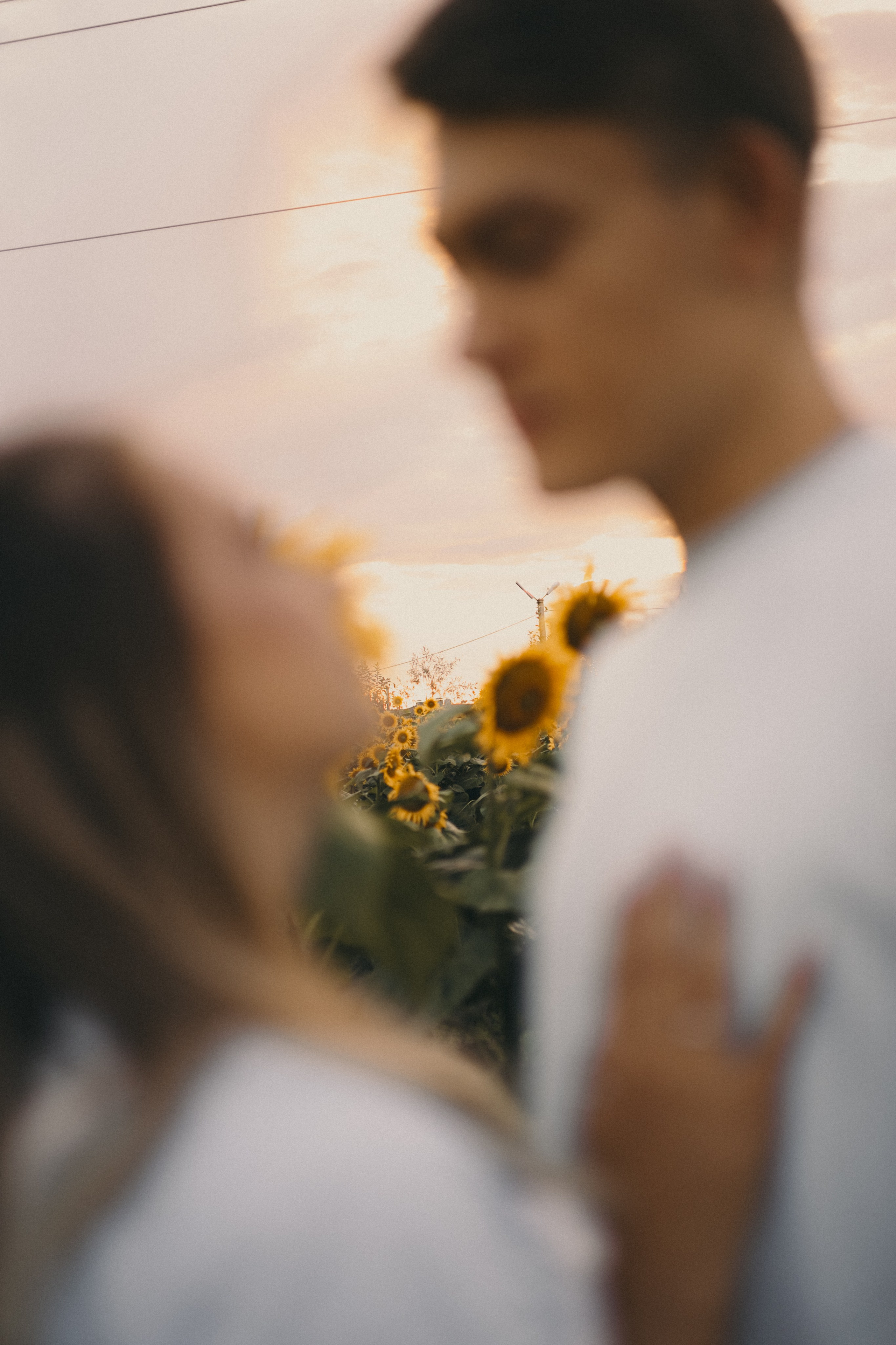 Михаил и Валерия | Подсолнухи. Фотограф Мария Лаенко